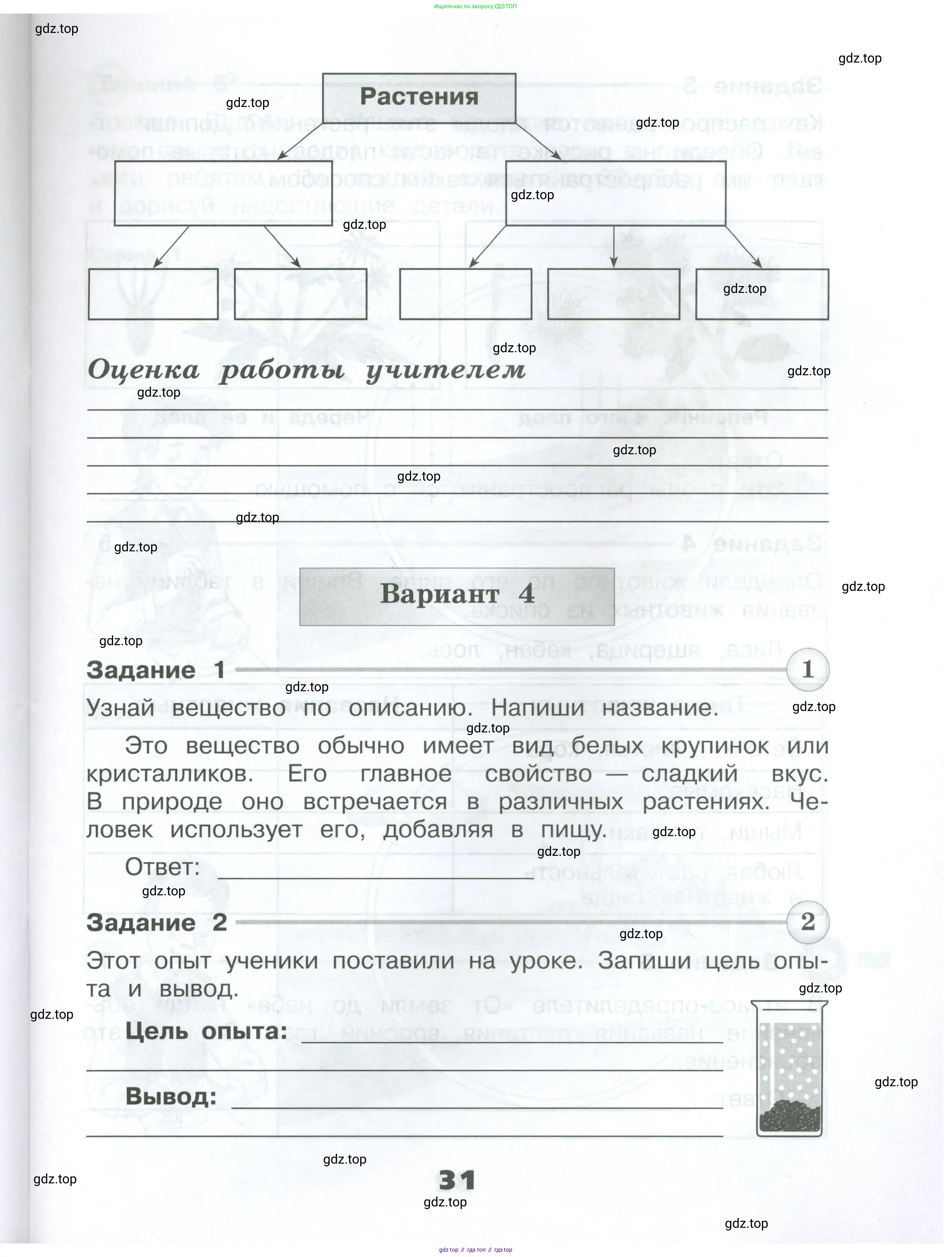 Окружающий мир, 3 класс Проверочные работы, авторы: Плешаков Андрей Анатольевич, Плешаков С А, издательство Просвещение, Москва, 2023, белого цвета, страница 31