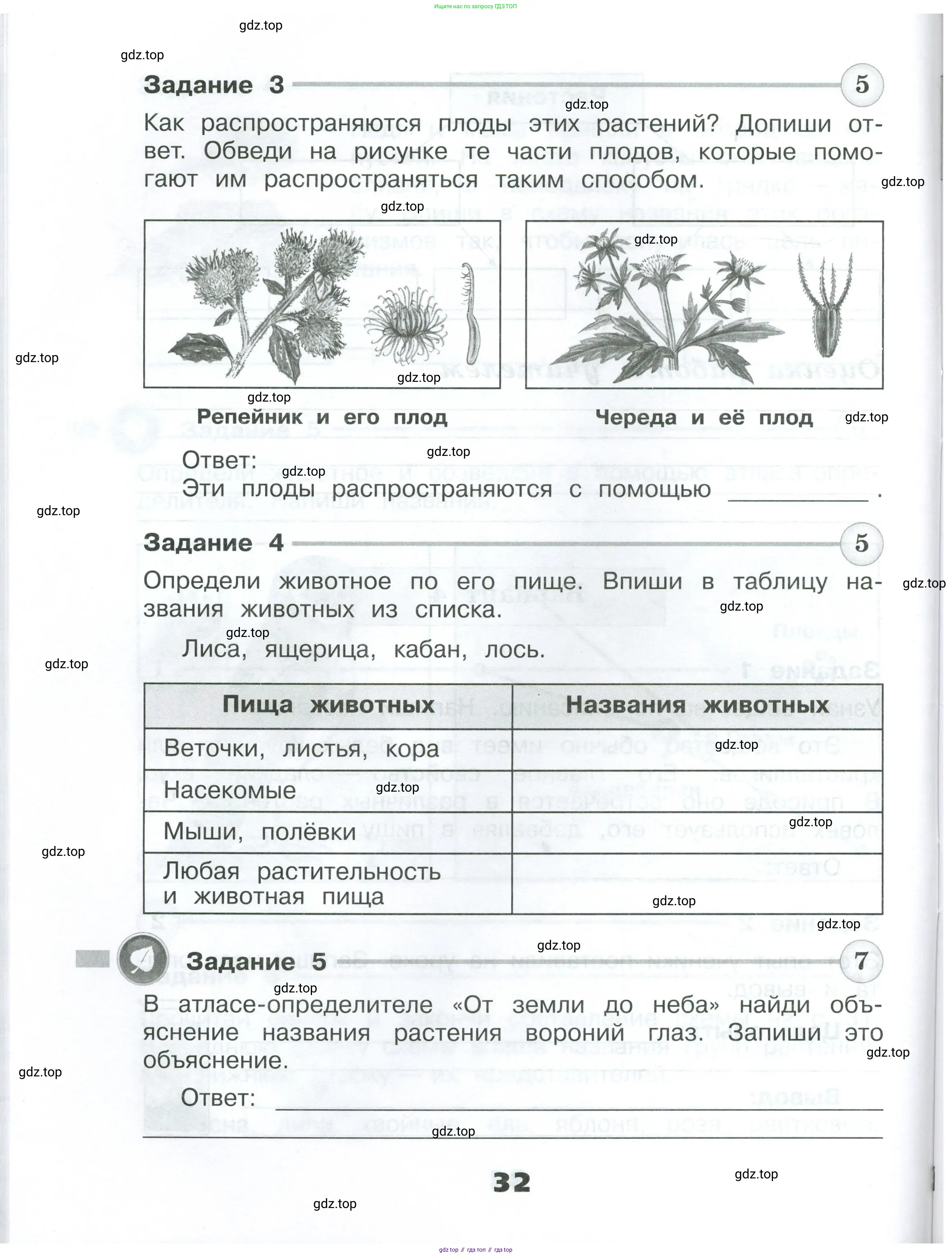 Окружающий мир, 3 класс Проверочные работы, авторы: Плешаков Андрей Анатольевич, Плешаков С А, издательство Просвещение, Москва, 2023, белого цвета, страница 32