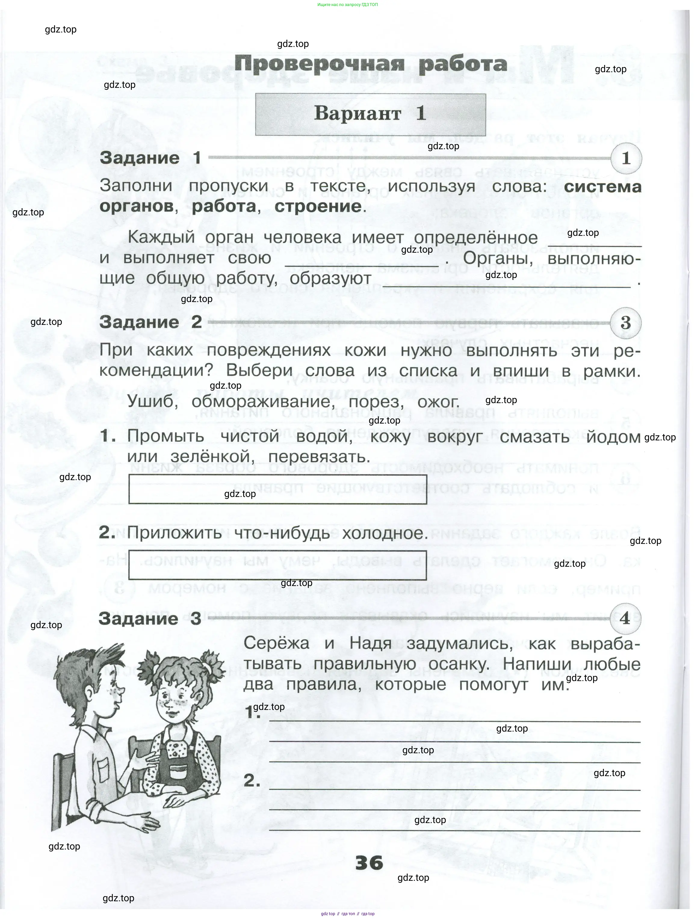 Окружающий мир, 3 класс Проверочные работы, авторы: Плешаков Андрей Анатольевич, Плешаков С А, издательство Просвещение, Москва, 2023, белого цвета, страница 36