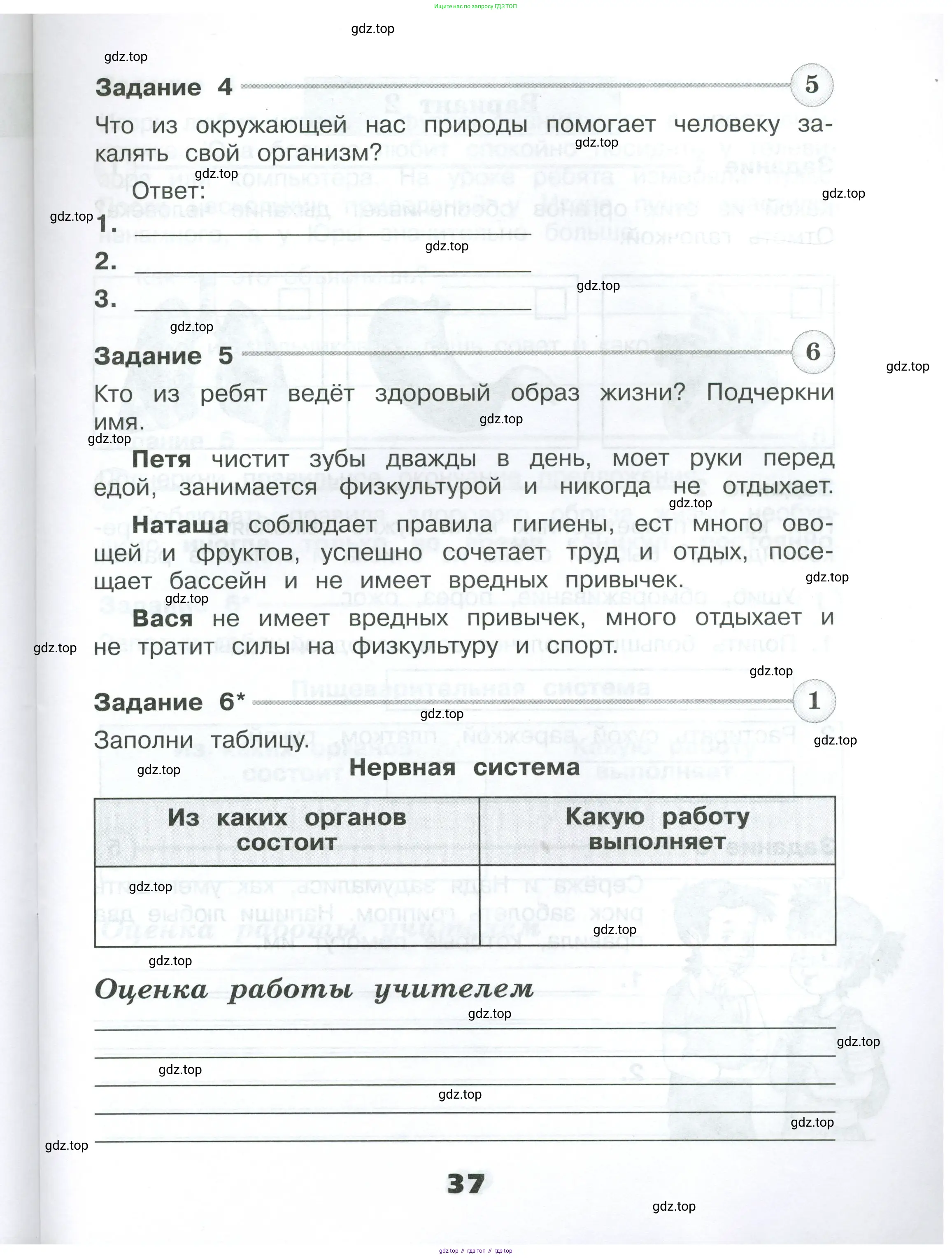Окружающий мир, 3 класс Проверочные работы, авторы: Плешаков Андрей Анатольевич, Плешаков С А, издательство Просвещение, Москва, 2023, белого цвета, страница 37
