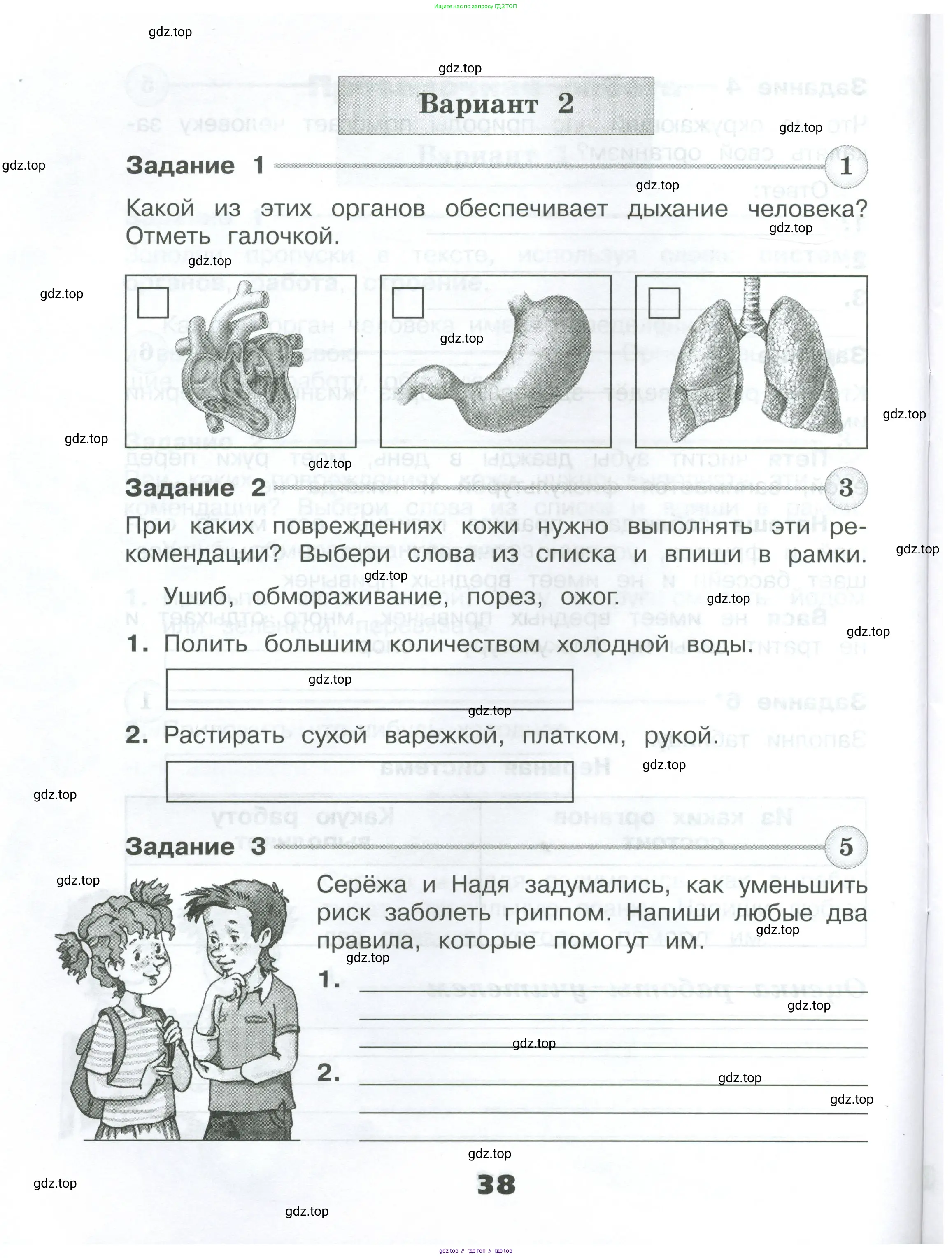 Окружающий мир, 3 класс Проверочные работы, авторы: Плешаков Андрей Анатольевич, Плешаков С А, издательство Просвещение, Москва, 2023, белого цвета, страница 38