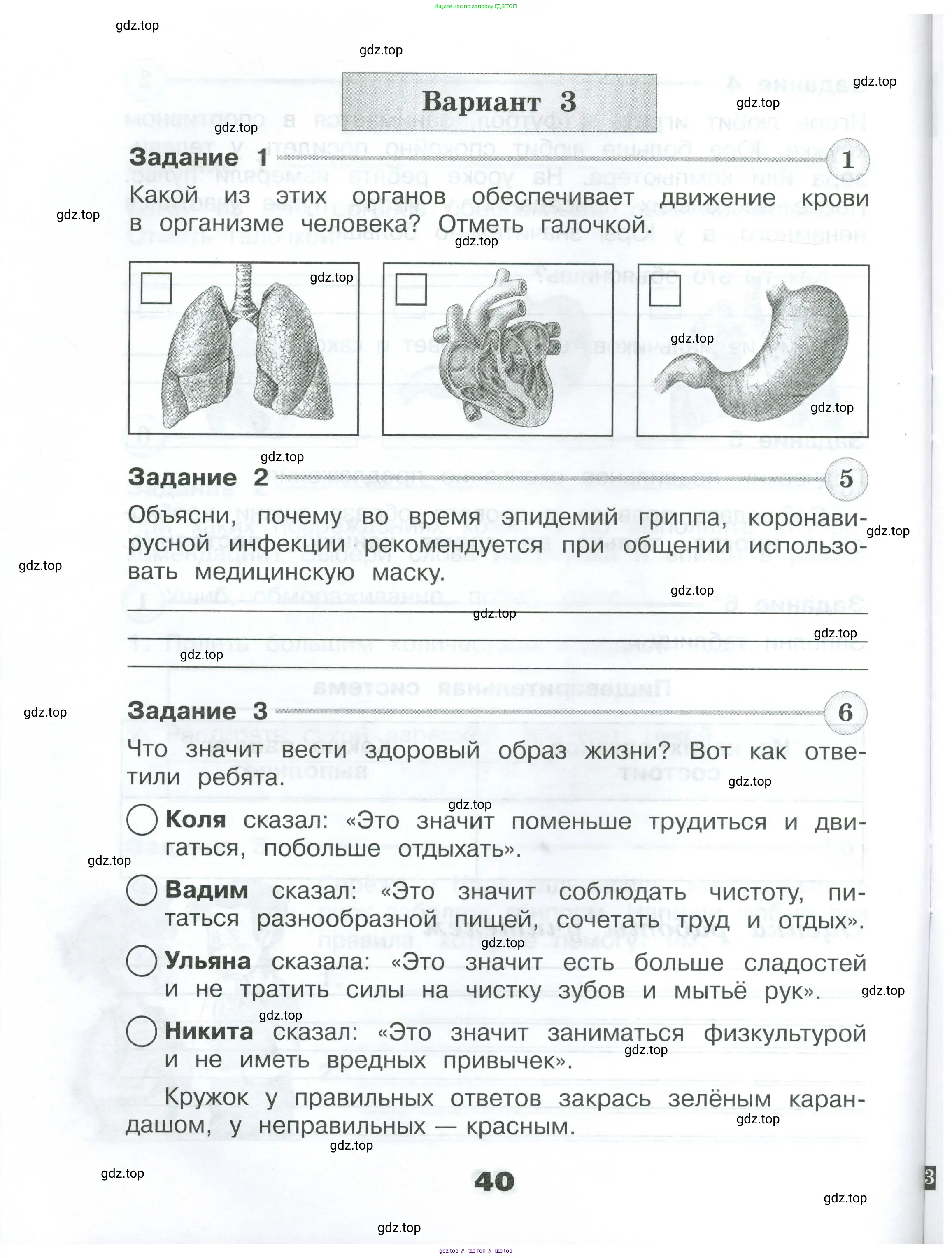 Окружающий мир, 3 класс Проверочные работы, авторы: Плешаков Андрей Анатольевич, Плешаков С А, издательство Просвещение, Москва, 2023, белого цвета, страница 40