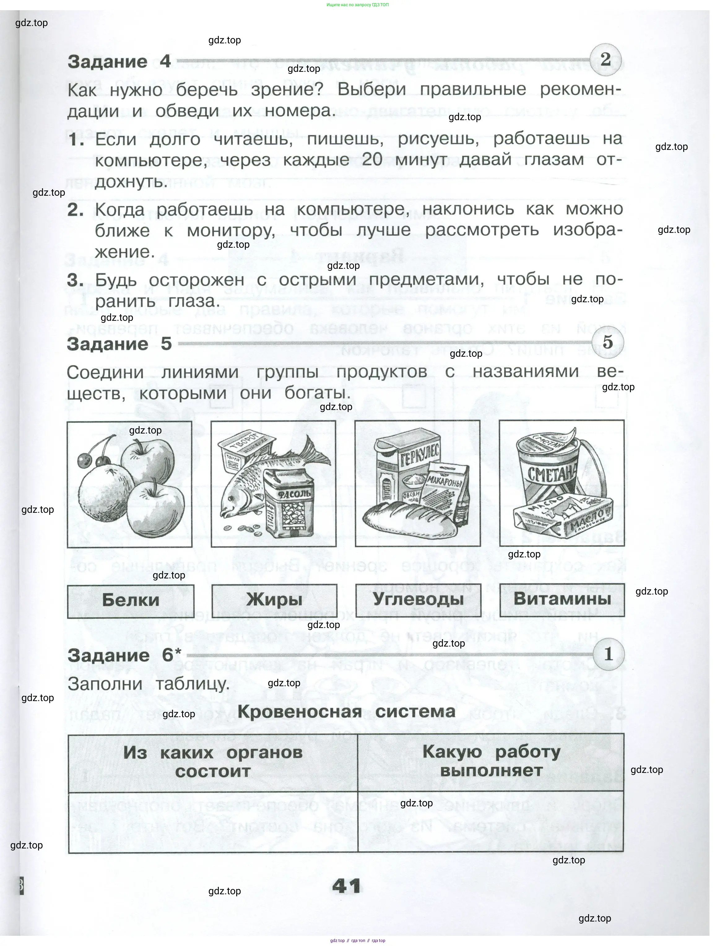 Окружающий мир, 3 класс Проверочные работы, авторы: Плешаков Андрей Анатольевич, Плешаков С А, издательство Просвещение, Москва, 2023, белого цвета, страница 41