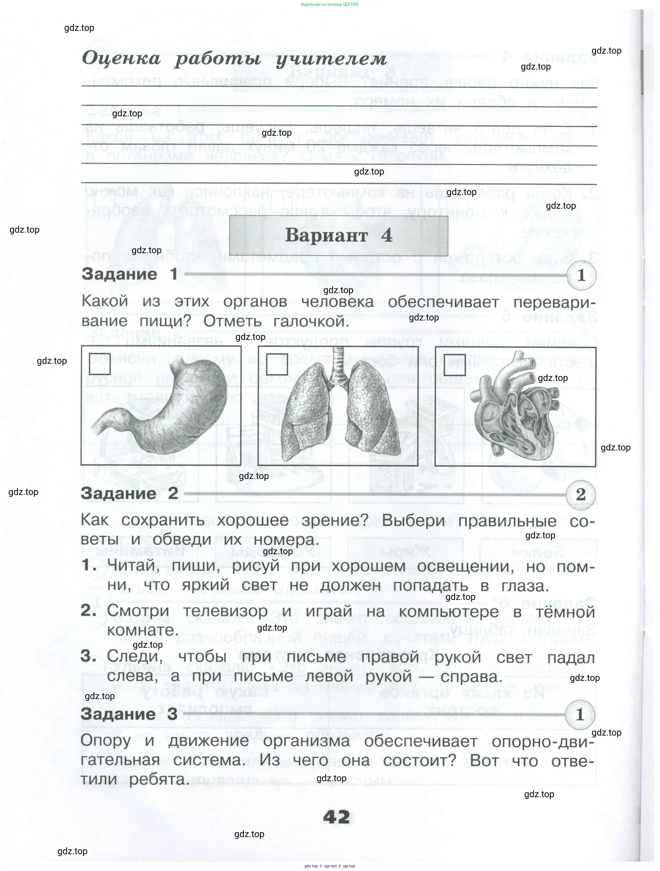 Окружающий мир, 3 класс Проверочные работы, авторы: Плешаков Андрей Анатольевич, Плешаков С А, издательство Просвещение, Москва, 2023, белого цвета, страница 42