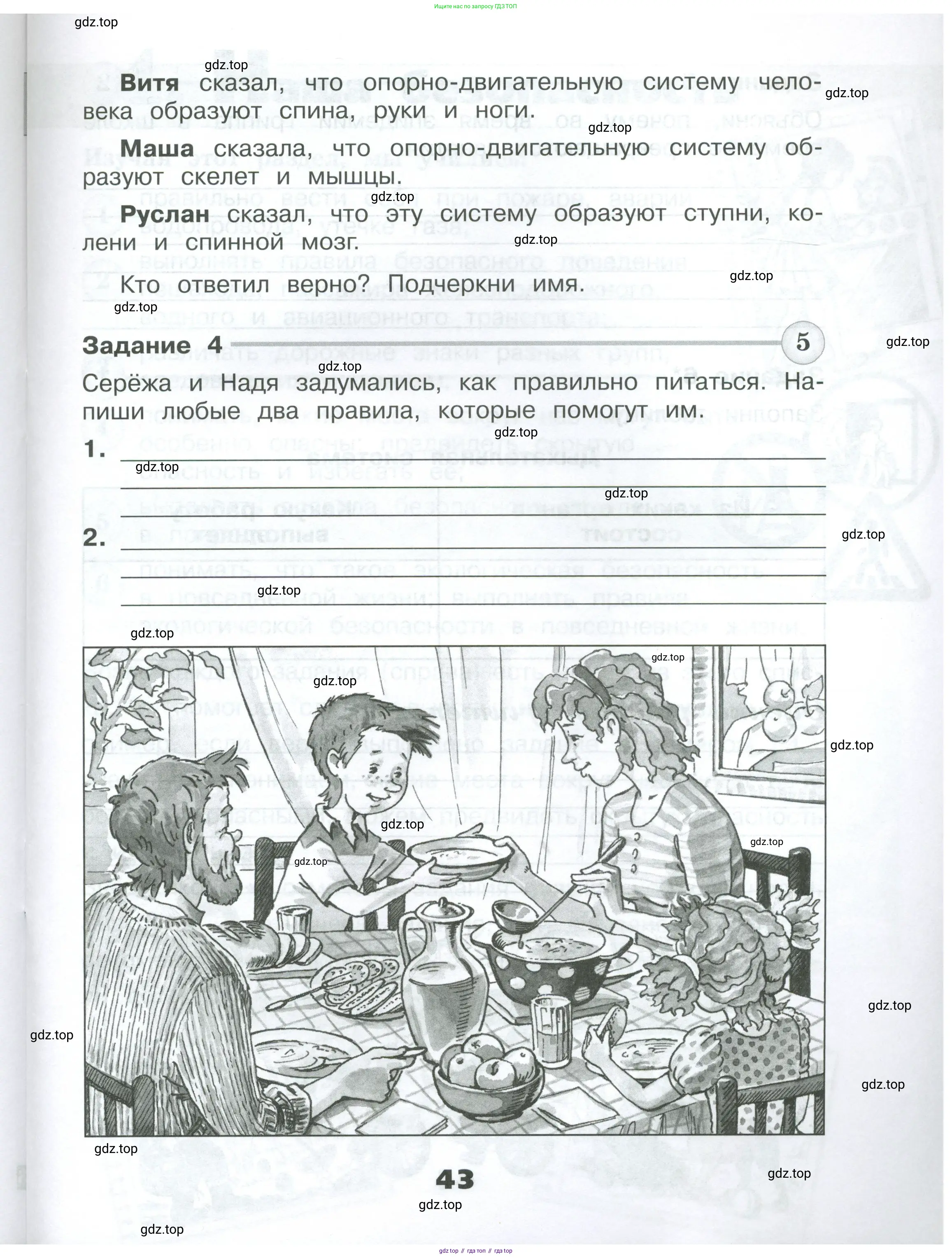 Окружающий мир, 3 класс Проверочные работы, авторы: Плешаков Андрей Анатольевич, Плешаков С А, издательство Просвещение, Москва, 2023, белого цвета, страница 43