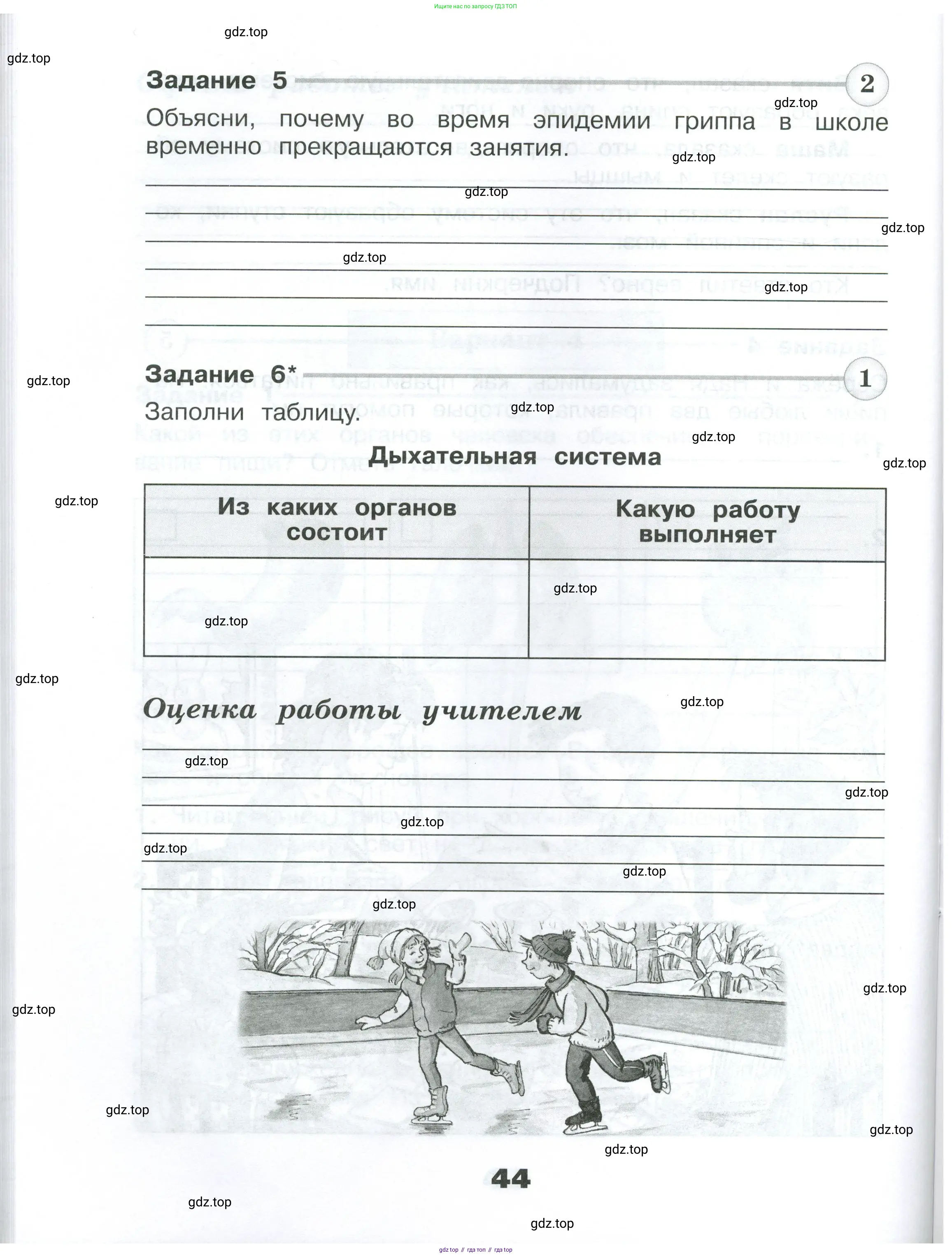 Окружающий мир, 3 класс Проверочные работы, авторы: Плешаков Андрей Анатольевич, Плешаков С А, издательство Просвещение, Москва, 2023, белого цвета, страница 44