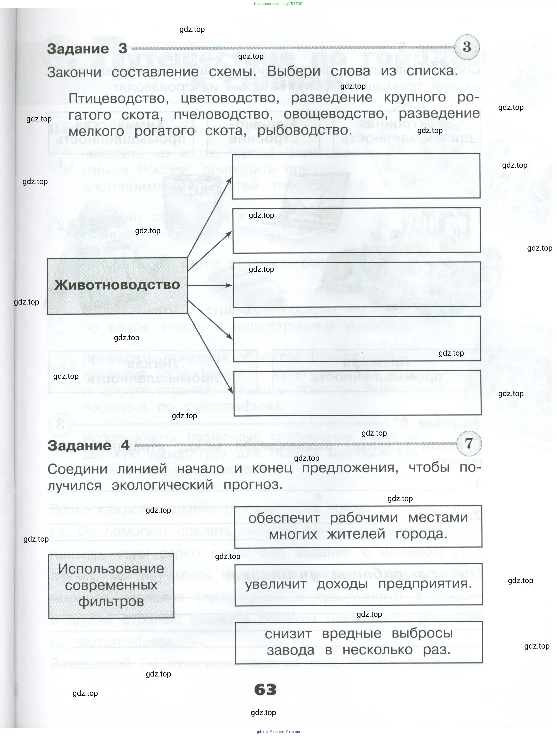 Окружающий мир, 3 класс Проверочные работы, авторы: Плешаков Андрей Анатольевич, Плешаков С А, издательство Просвещение, Москва, 2023, белого цвета, страница 63
