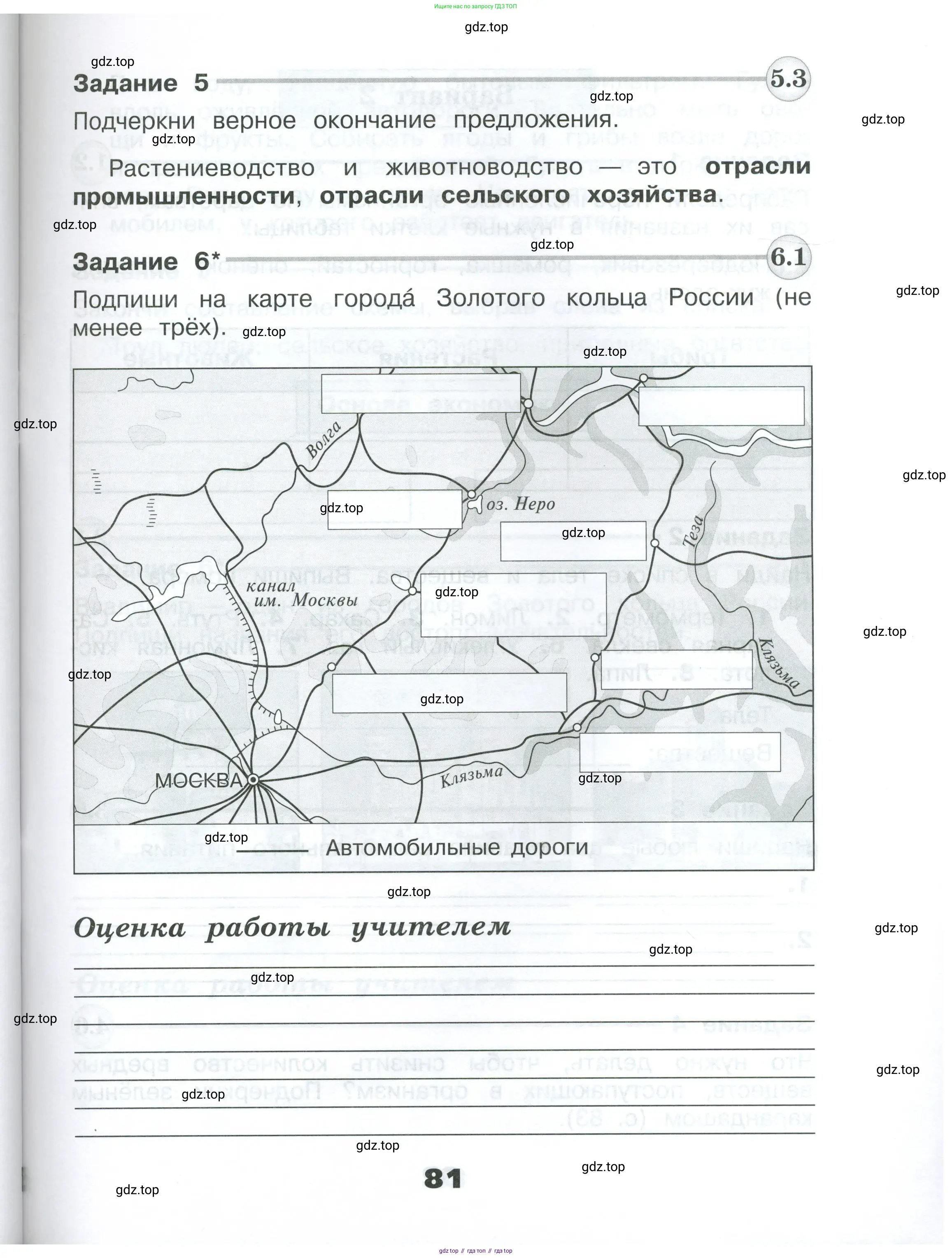 Окружающий мир, 3 класс Проверочные работы, авторы: Плешаков Андрей Анатольевич, Плешаков С А, издательство Просвещение, Москва, 2023, белого цвета, страница 81