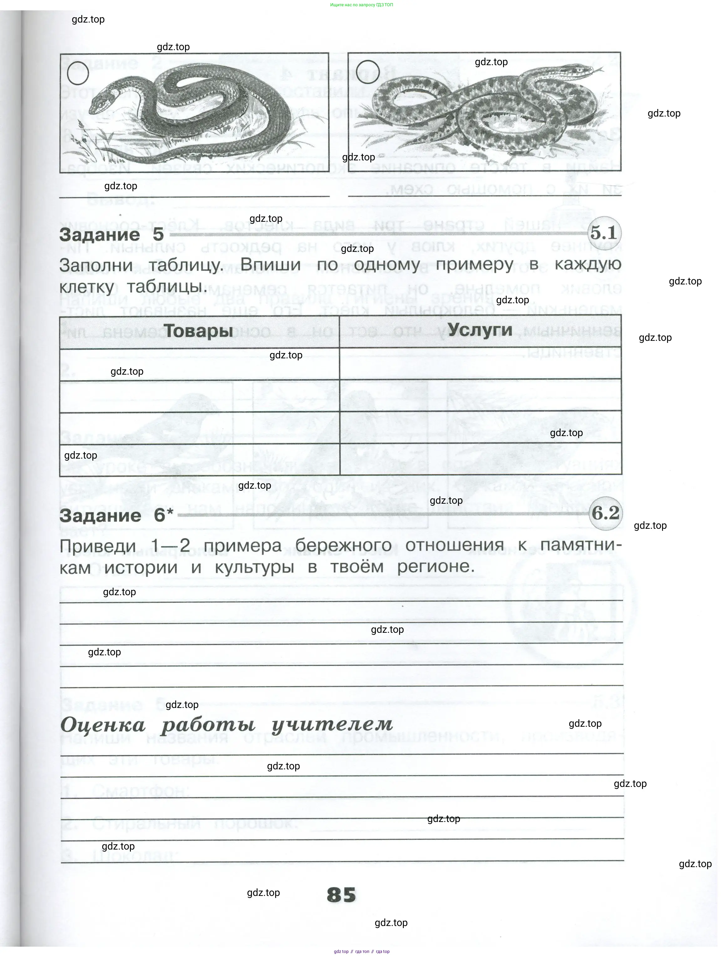 Окружающий мир, 3 класс Проверочные работы, авторы: Плешаков Андрей Анатольевич, Плешаков С А, издательство Просвещение, Москва, 2023, белого цвета, страница 85
