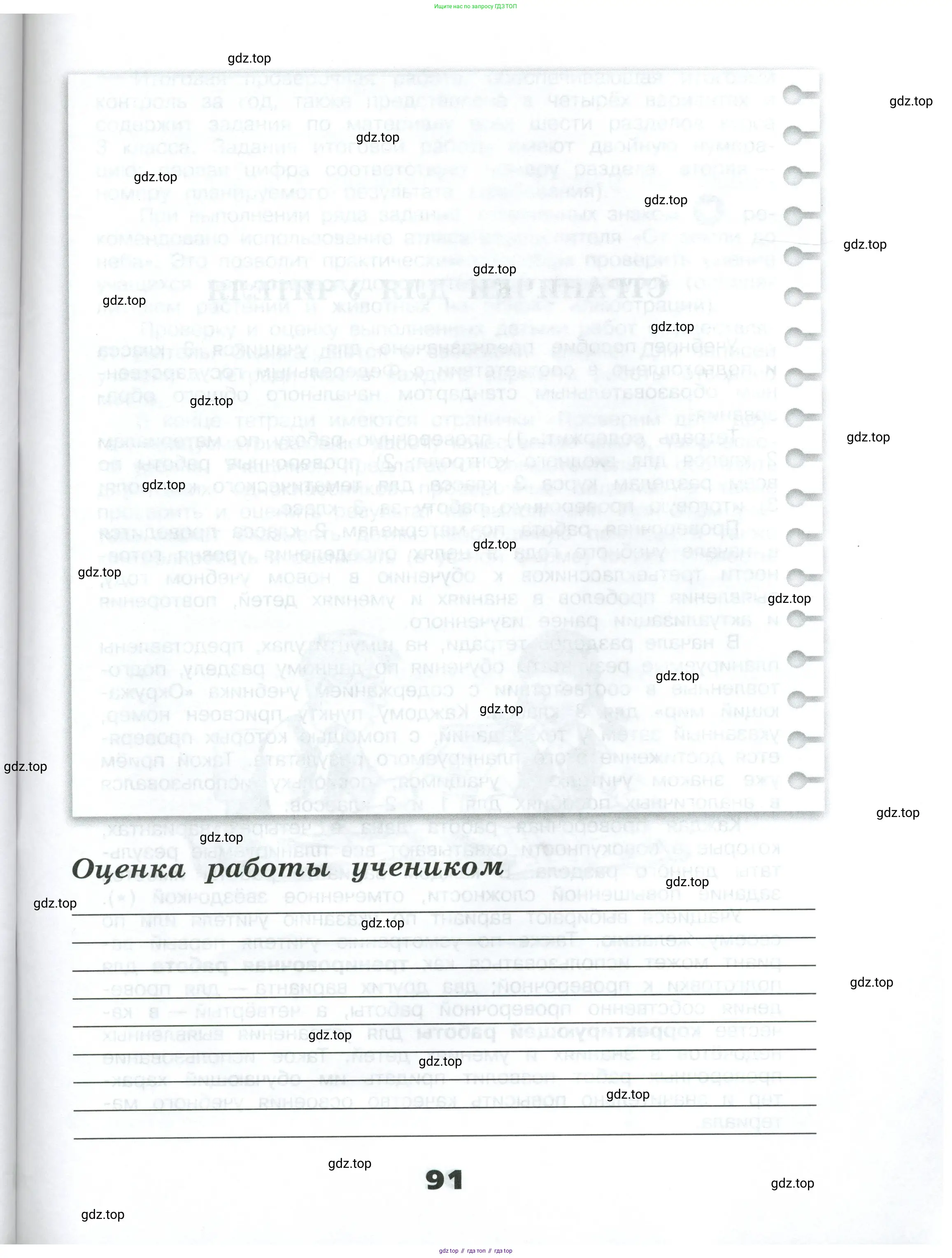 Окружающий мир, 3 класс Проверочные работы, авторы: Плешаков Андрей Анатольевич, Плешаков С А, издательство Просвещение, Москва, 2023, белого цвета, страница 91