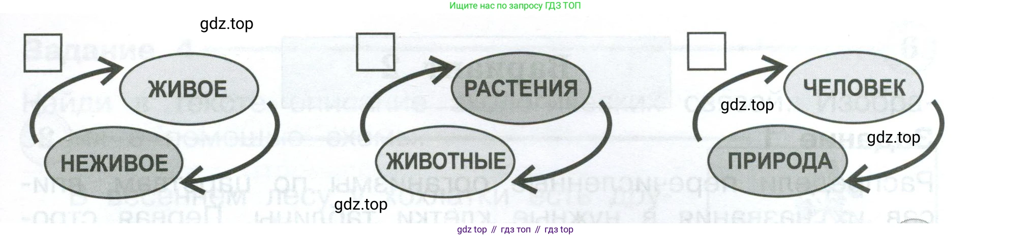 Окружающий мир, 3 класс Проверочные работы, авторы: Плешаков Андрей Анатольевич, Плешаков С А, издательство Просвещение, Москва, 2023, белого цвета, страница 14, номер 4, Условие (продолжение 2)