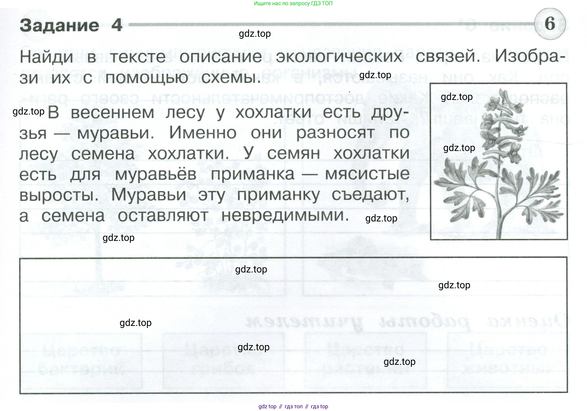 Окружающий мир, 3 класс Проверочные работы, авторы: Плешаков Андрей Анатольевич, Плешаков С А, издательство Просвещение, Москва, 2023, белого цвета, страница 17, номер 4, Условие