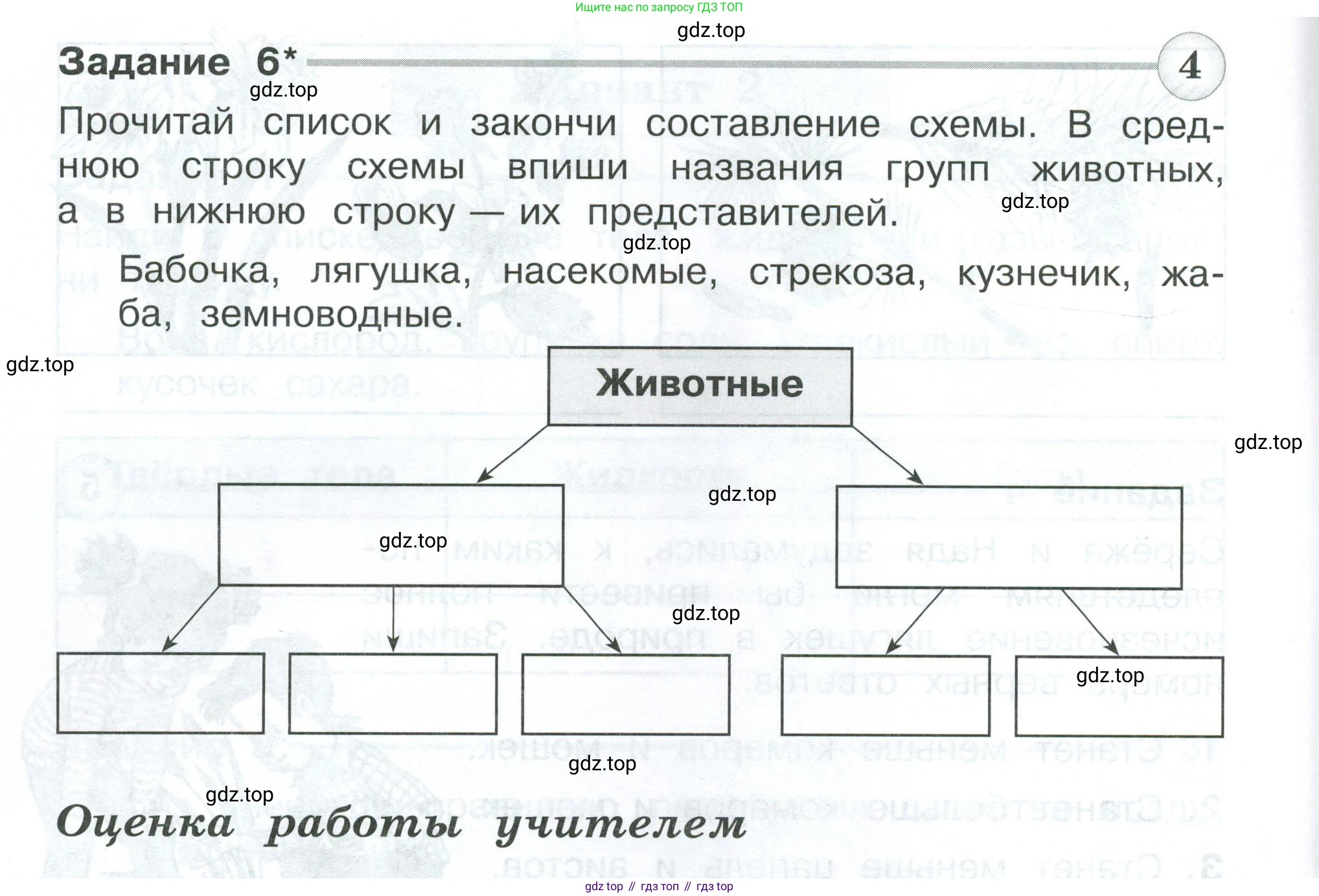 Окружающий мир, 3 класс Проверочные работы, авторы: Плешаков Андрей Анатольевич, Плешаков С А, издательство Просвещение, Москва, 2023, белого цвета, страница 28, номер 6, Условие