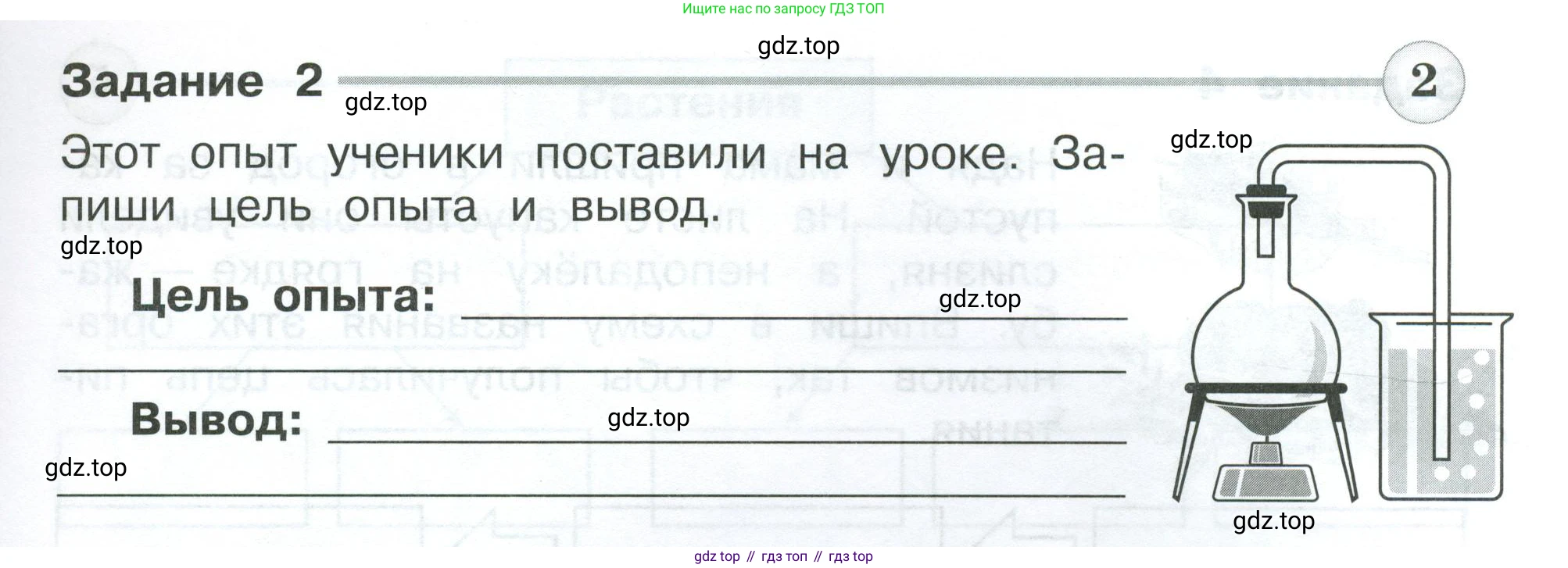 Окружающий мир, 3 класс Проверочные работы, авторы: Плешаков Андрей Анатольевич, Плешаков С А, издательство Просвещение, Москва, 2023, белого цвета, страница 29, номер 2, Условие