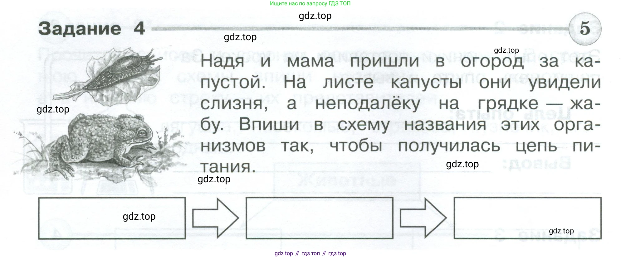 Окружающий мир, 3 класс Проверочные работы, авторы: Плешаков Андрей Анатольевич, Плешаков С А, издательство Просвещение, Москва, 2023, белого цвета, страница 30, номер 4, Условие