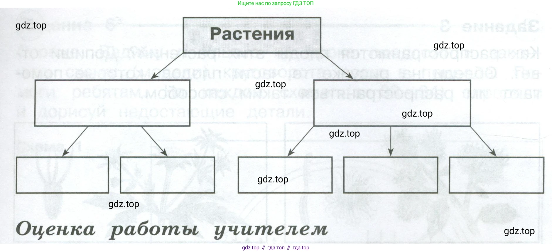 Окружающий мир, 3 класс Проверочные работы, авторы: Плешаков Андрей Анатольевич, Плешаков С А, издательство Просвещение, Москва, 2023, белого цвета, страница 30, номер 6, Условие (продолжение 2)