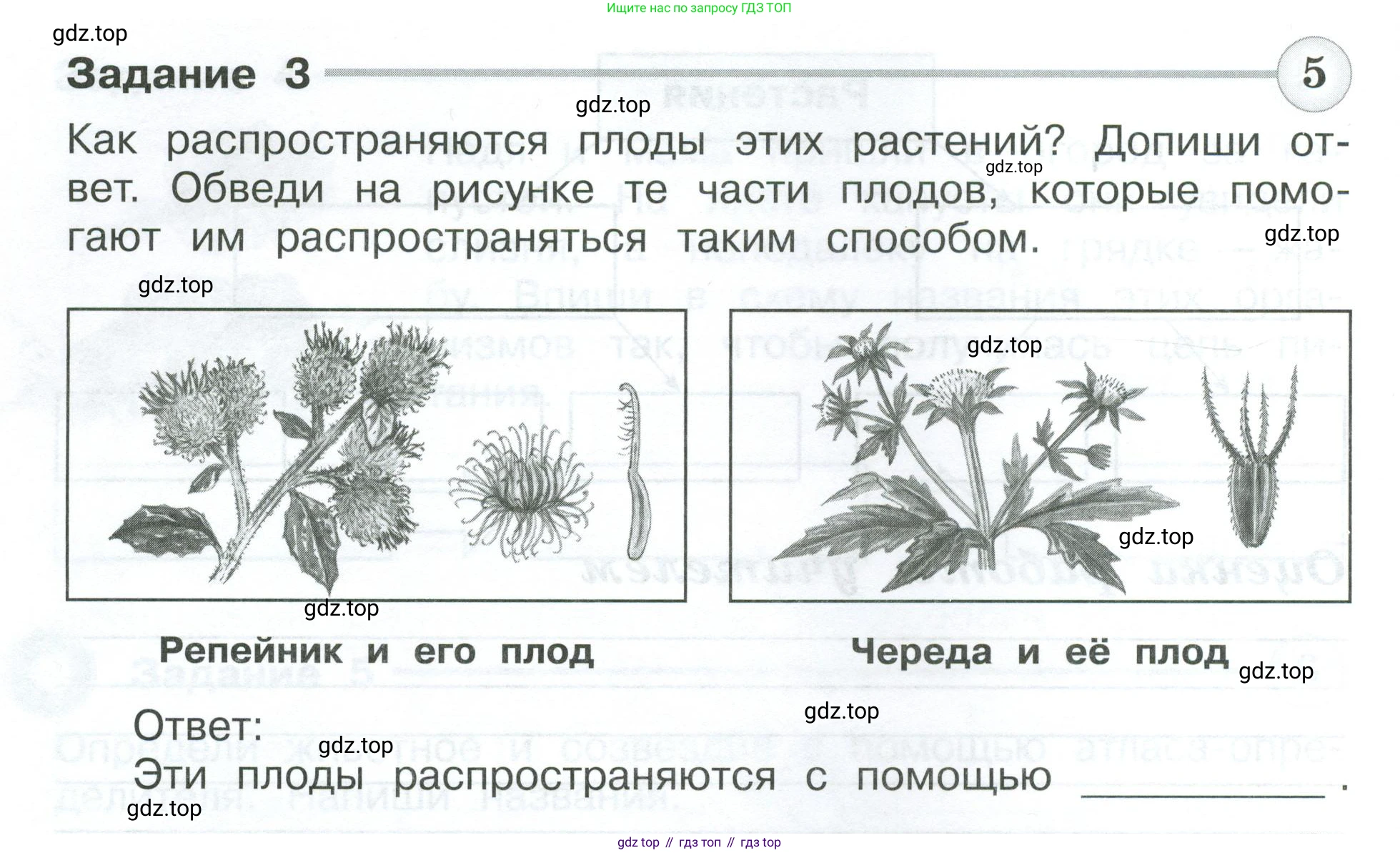 Окружающий мир, 3 класс Проверочные работы, авторы: Плешаков Андрей Анатольевич, Плешаков С А, издательство Просвещение, Москва, 2023, белого цвета, страница 32, номер 3, Условие