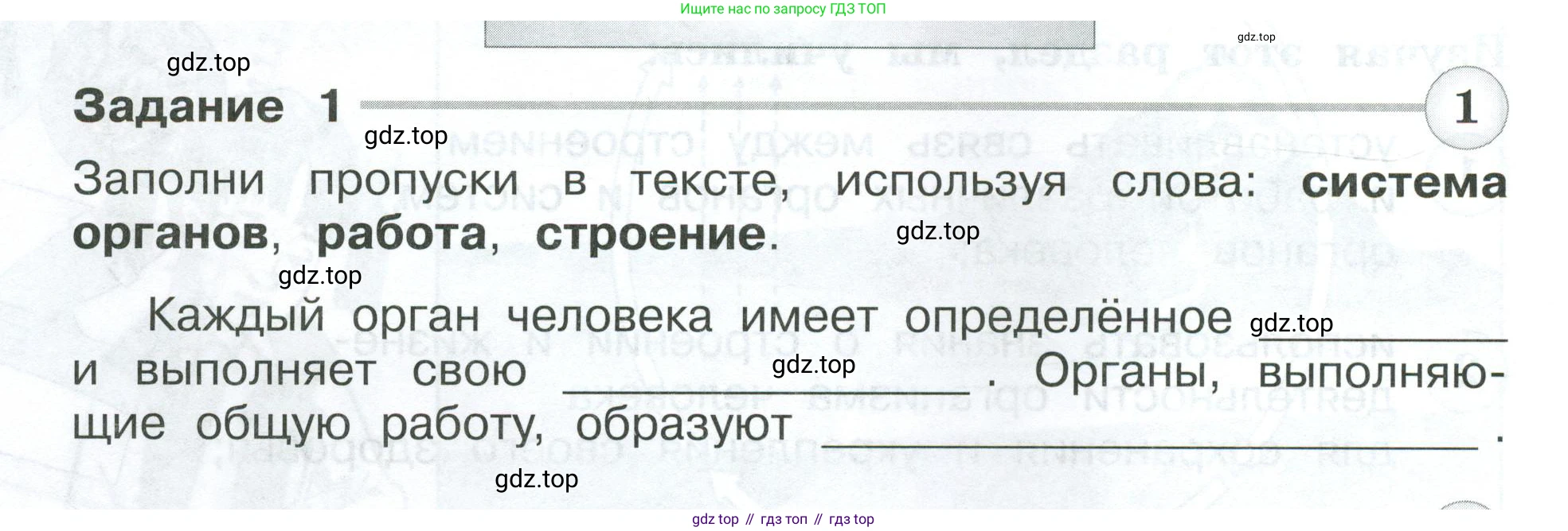 Окружающий мир, 3 класс Проверочные работы, авторы: Плешаков Андрей Анатольевич, Плешаков С А, издательство Просвещение, Москва, 2023, белого цвета, страница 36, номер 1, Условие