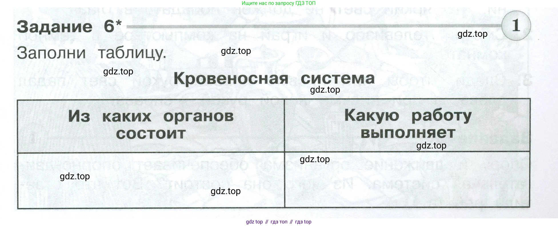 Окружающий мир, 3 класс Проверочные работы, авторы: Плешаков Андрей Анатольевич, Плешаков С А, издательство Просвещение, Москва, 2023, белого цвета, страница 41, номер 6, Условие