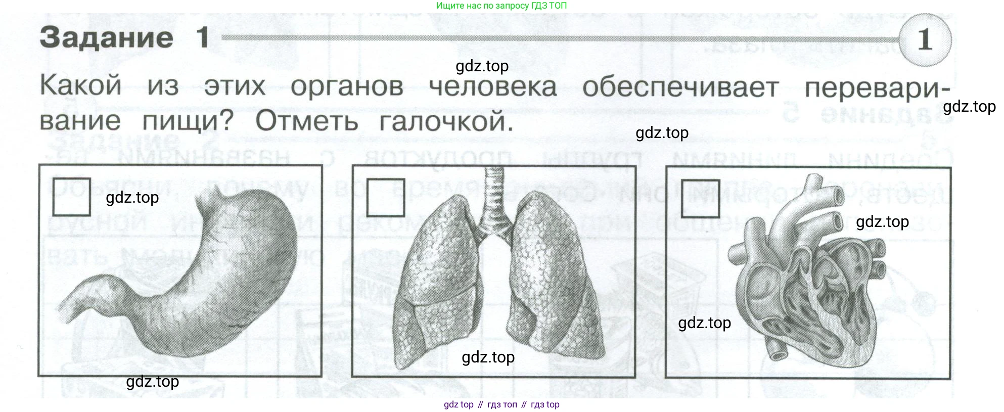 Окружающий мир, 3 класс Проверочные работы, авторы: Плешаков Андрей Анатольевич, Плешаков С А, издательство Просвещение, Москва, 2023, белого цвета, страница 42, номер 1, Условие