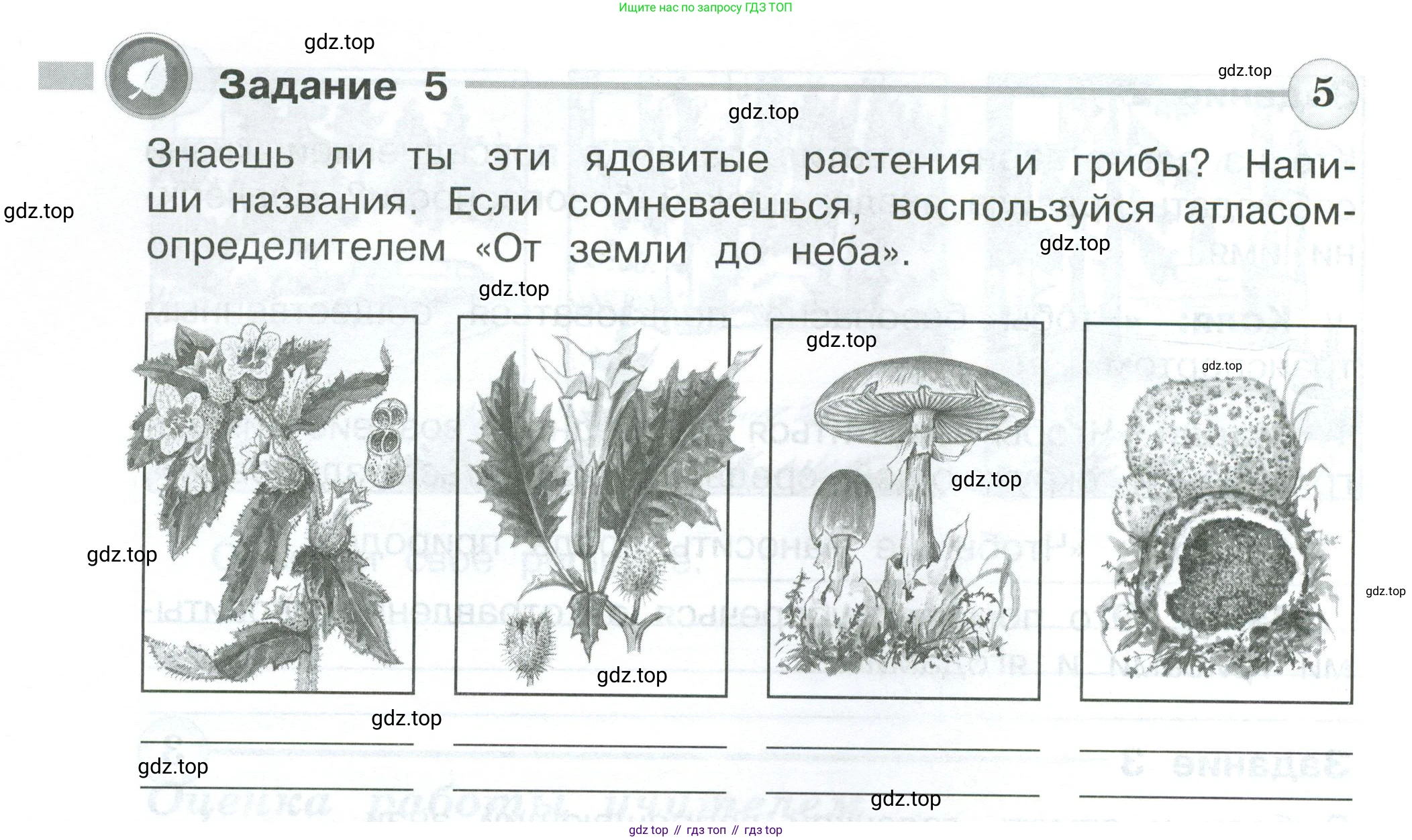 Окружающий мир, 3 класс Проверочные работы, авторы: Плешаков Андрей Анатольевич, Плешаков С А, издательство Просвещение, Москва, 2023, белого цвета, страница 52, номер 5, Условие