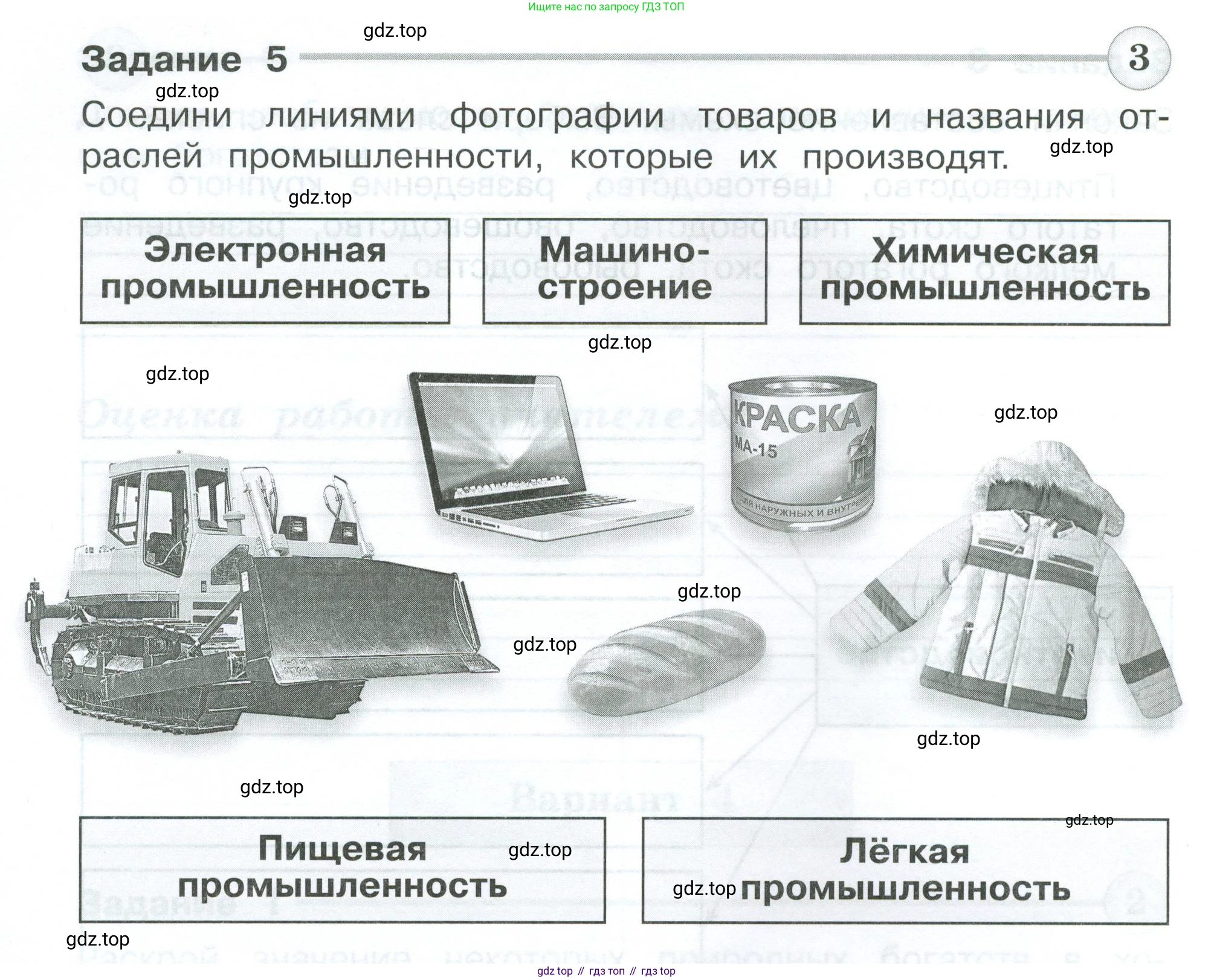 Окружающий мир, 3 класс Проверочные работы, авторы: Плешаков Андрей Анатольевич, Плешаков С А, издательство Просвещение, Москва, 2023, белого цвета, страница 64, номер 5, Условие