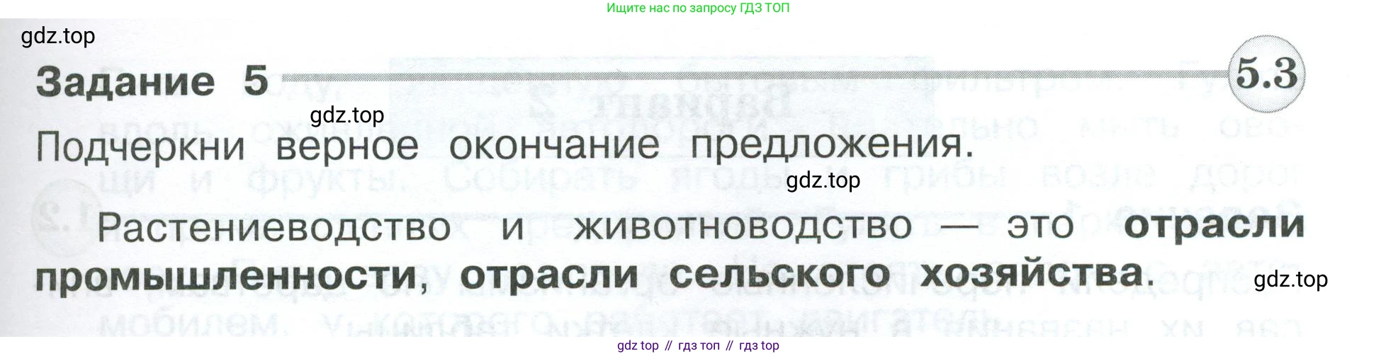 Окружающий мир, 3 класс Проверочные работы, авторы: Плешаков Андрей Анатольевич, Плешаков С А, издательство Просвещение, Москва, 2023, белого цвета, страница 81, номер 5, Условие