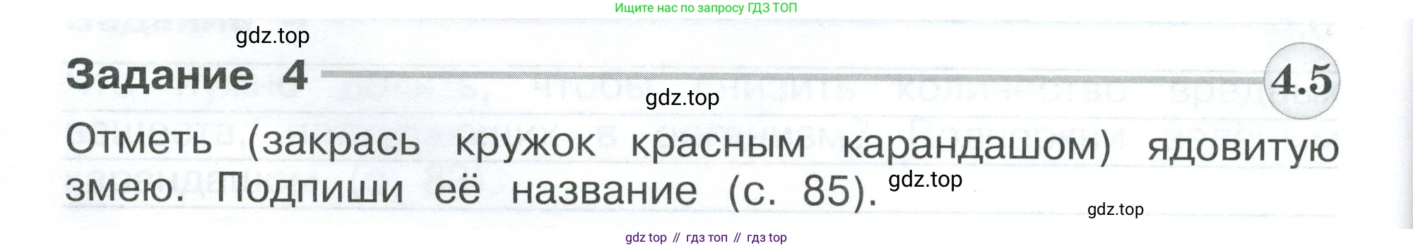 Окружающий мир, 3 класс Проверочные работы, авторы: Плешаков Андрей Анатольевич, Плешаков С А, издательство Просвещение, Москва, 2023, белого цвета, страница 84, номер 4, Условие