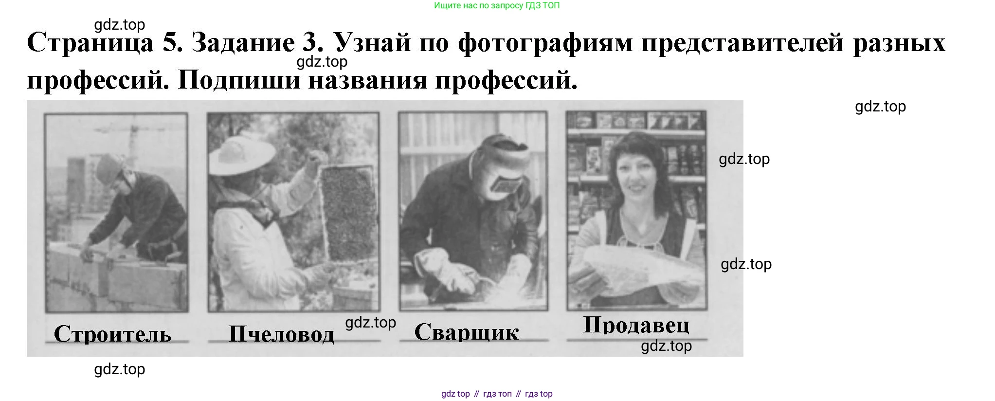 Окружающий мир, 3 класс Проверочные работы, авторы: Плешаков Андрей Анатольевич, Плешаков С А, издательство Просвещение, Москва, 2023, белого цвета, страница 5, номер 3, Решение