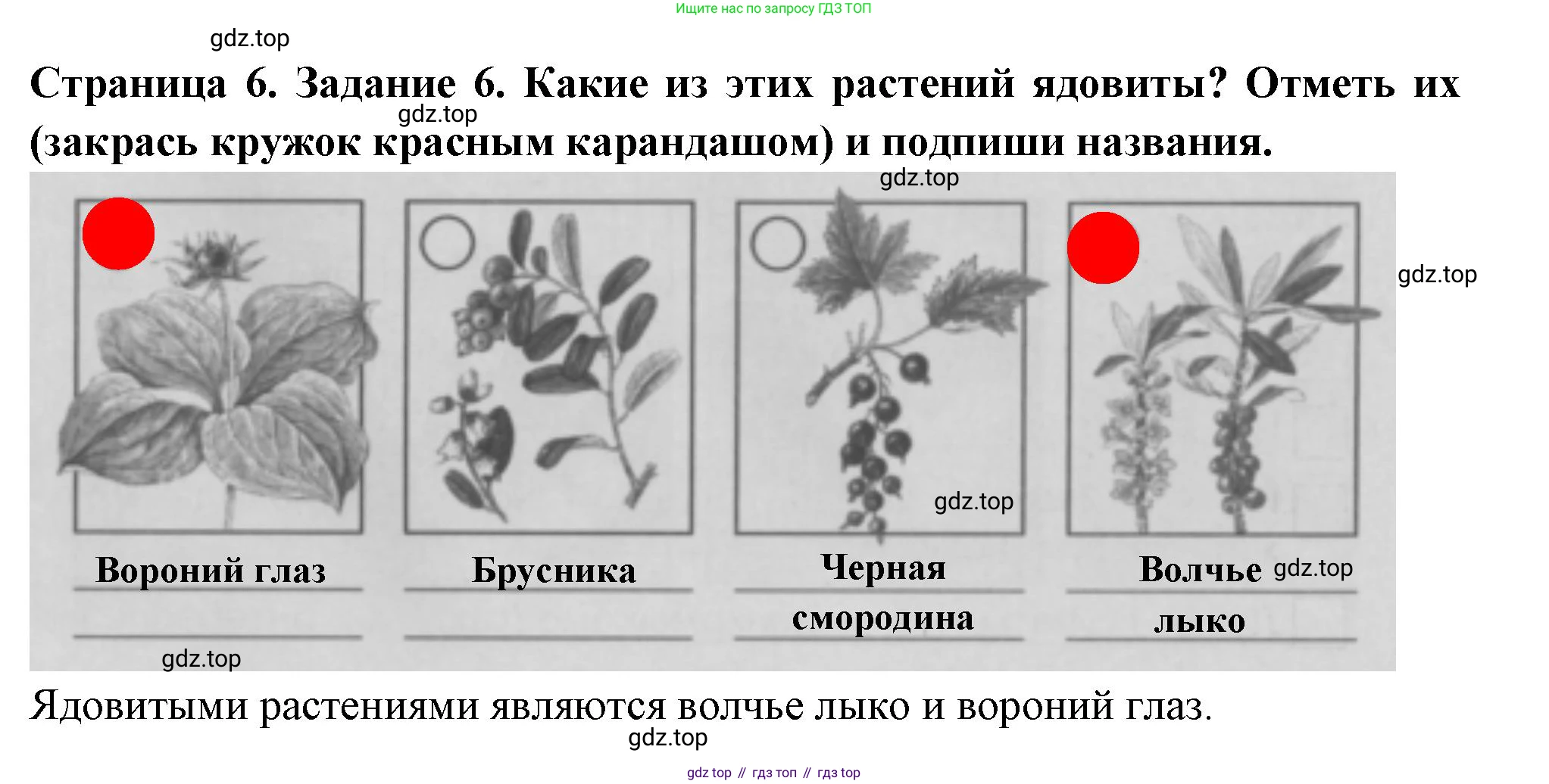 Окружающий мир, 3 класс Проверочные работы, авторы: Плешаков Андрей Анатольевич, Плешаков С А, издательство Просвещение, Москва, 2023, белого цвета, страница 6, номер 6, Решение