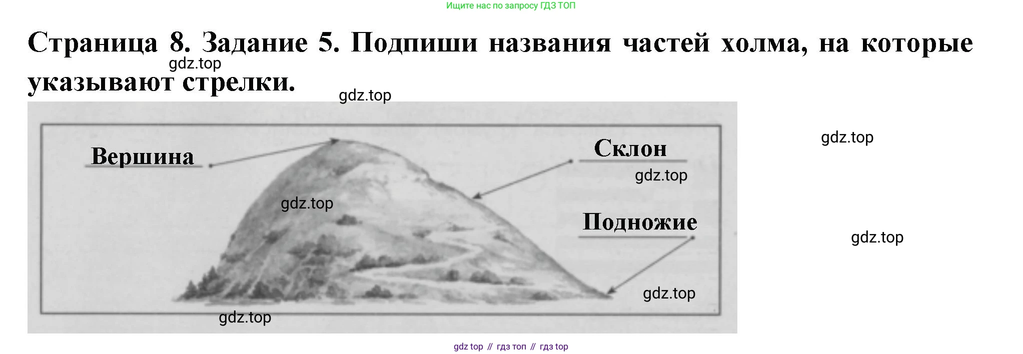 Окружающий мир, 3 класс Проверочные работы, авторы: Плешаков Андрей Анатольевич, Плешаков С А, издательство Просвещение, Москва, 2023, белого цвета, страница 8, номер 5, Решение
