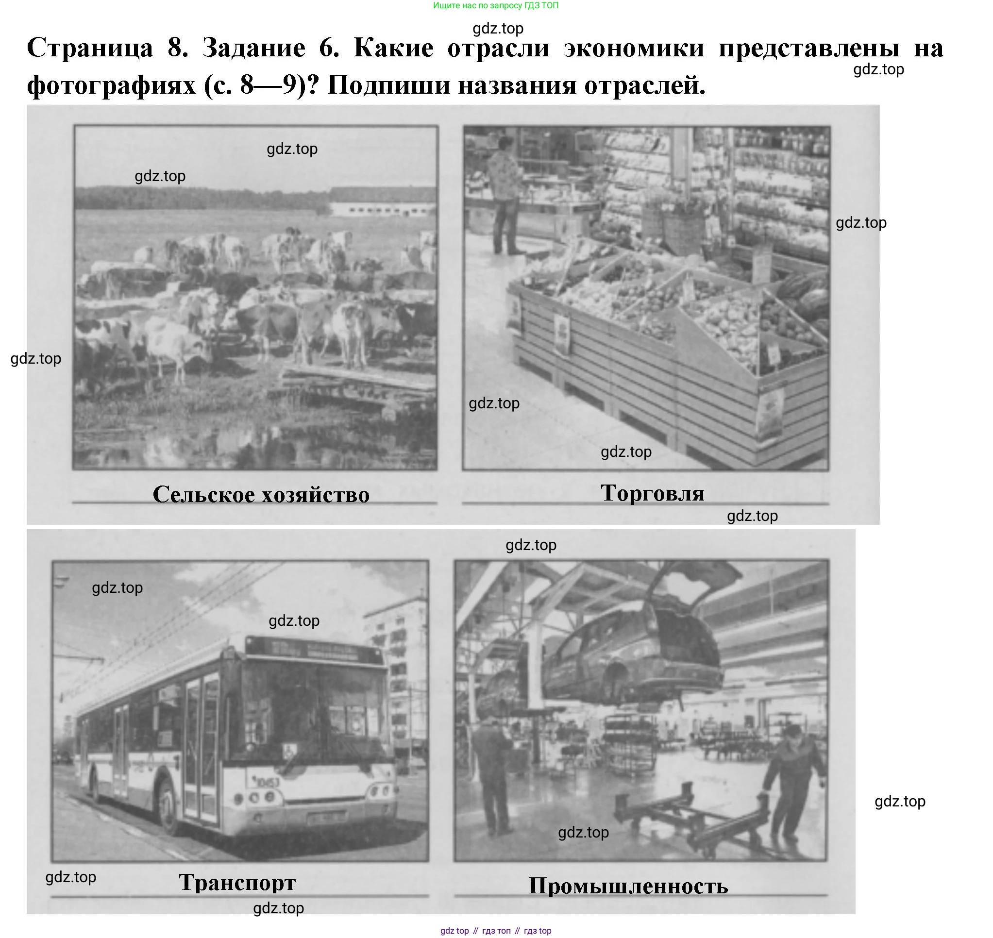 Окружающий мир, 3 класс Проверочные работы, авторы: Плешаков Андрей Анатольевич, Плешаков С А, издательство Просвещение, Москва, 2023, белого цвета, страница 8, номер 6, Решение