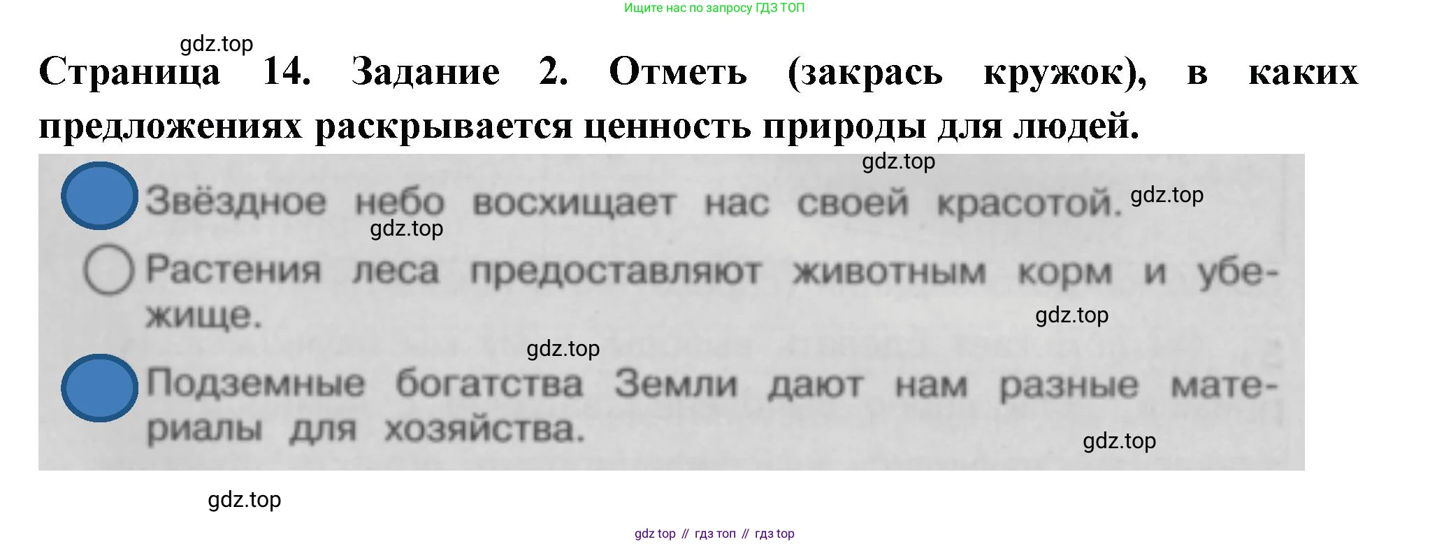 Окружающий мир, 3 класс Проверочные работы, авторы: Плешаков Андрей Анатольевич, Плешаков С А, издательство Просвещение, Москва, 2023, белого цвета, страница 14, номер 2, Решение