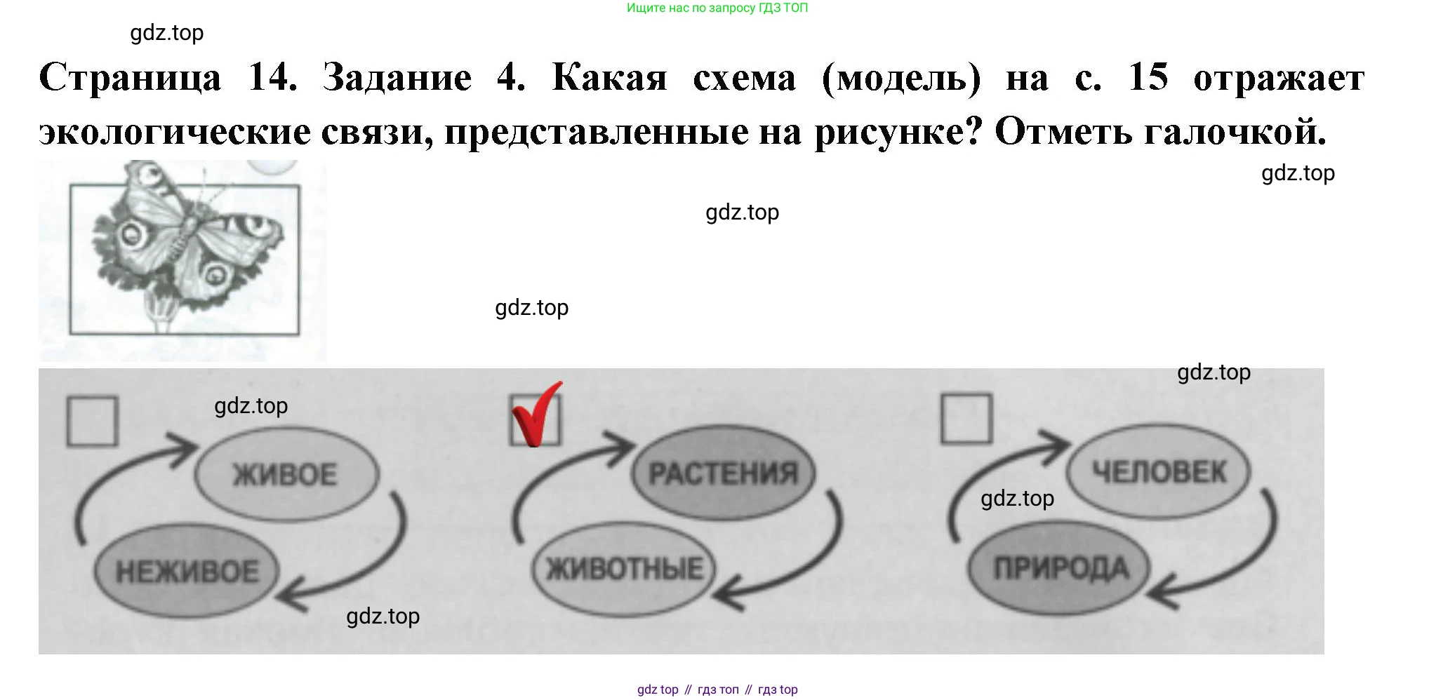Окружающий мир, 3 класс Проверочные работы, авторы: Плешаков Андрей Анатольевич, Плешаков С А, издательство Просвещение, Москва, 2023, белого цвета, страница 14, номер 4, Решение