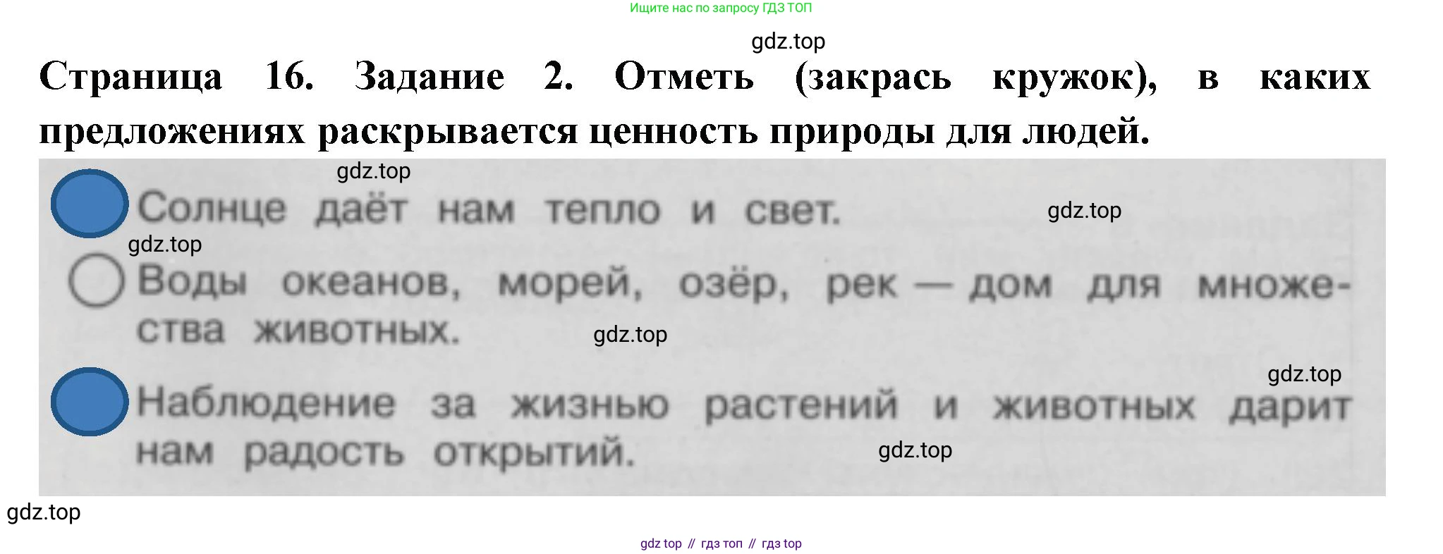 Окружающий мир, 3 класс Проверочные работы, авторы: Плешаков Андрей Анатольевич, Плешаков С А, издательство Просвещение, Москва, 2023, белого цвета, страница 16, номер 2, Решение