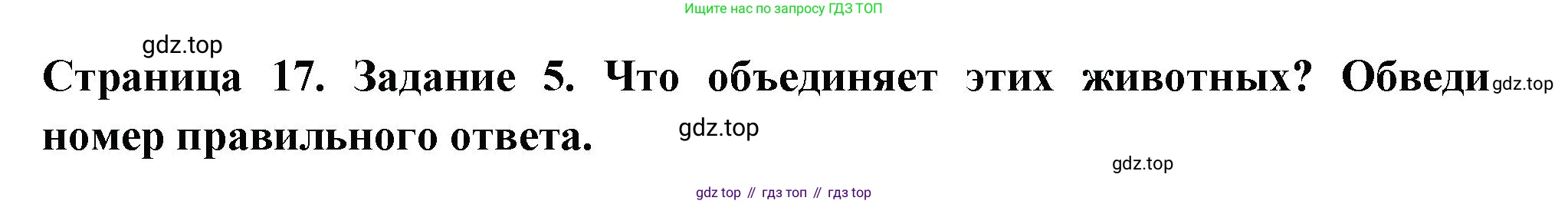 Окружающий мир, 3 класс Проверочные работы, авторы: Плешаков Андрей Анатольевич, Плешаков С А, издательство Просвещение, Москва, 2023, белого цвета, страница 17, номер 5, Решение