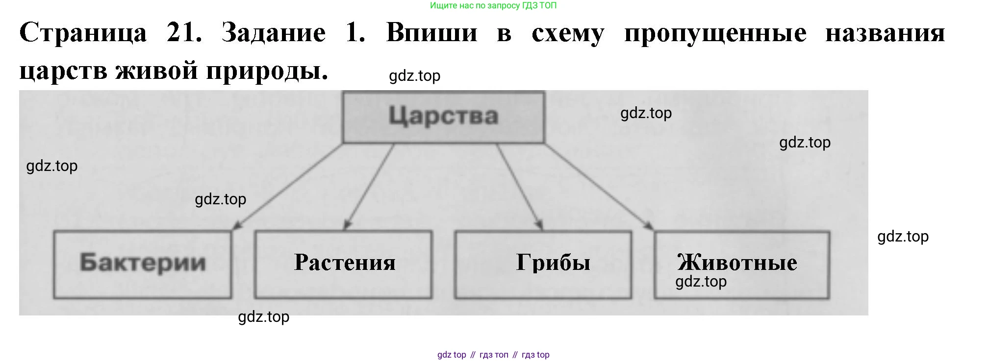 Окружающий мир, 3 класс Проверочные работы, авторы: Плешаков Андрей Анатольевич, Плешаков С А, издательство Просвещение, Москва, 2023, белого цвета, страница 21, номер 1, Решение
