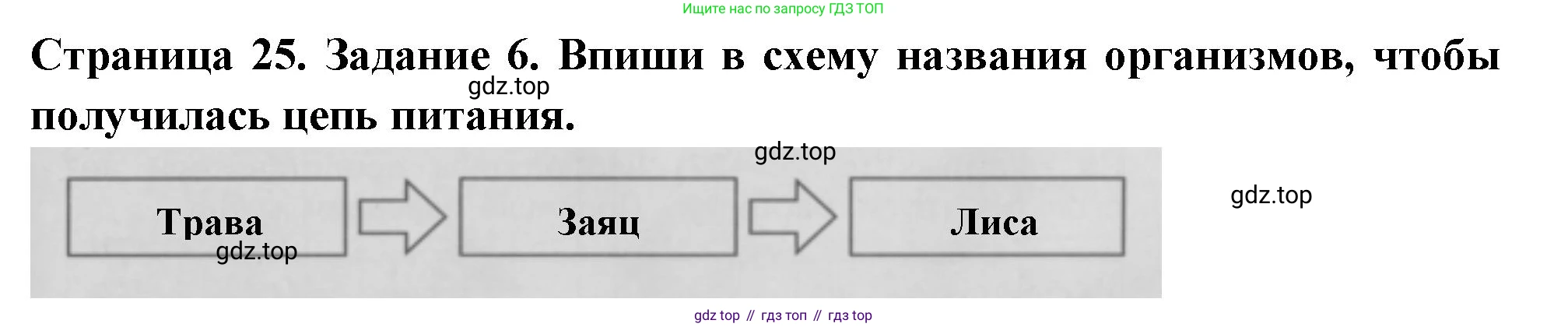 Окружающий мир, 3 класс Проверочные работы, авторы: Плешаков Андрей Анатольевич, Плешаков С А, издательство Просвещение, Москва, 2023, белого цвета, страница 25, номер 6, Решение