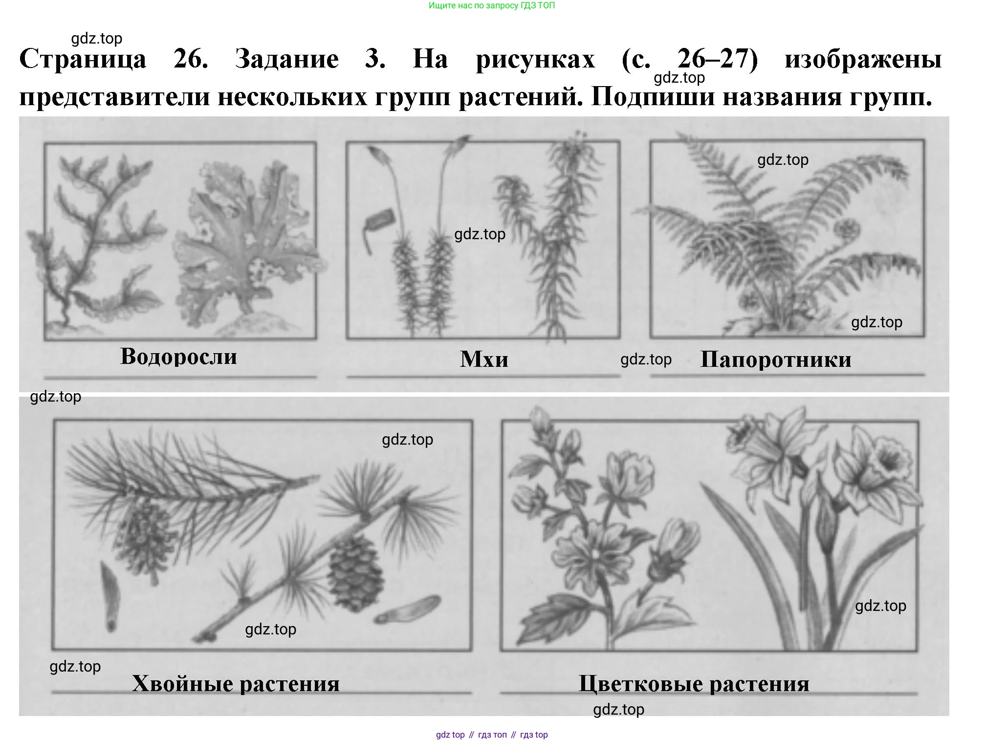 Окружающий мир, 3 класс Проверочные работы, авторы: Плешаков Андрей Анатольевич, Плешаков С А, издательство Просвещение, Москва, 2023, белого цвета, страница 26, номер 3, Решение
