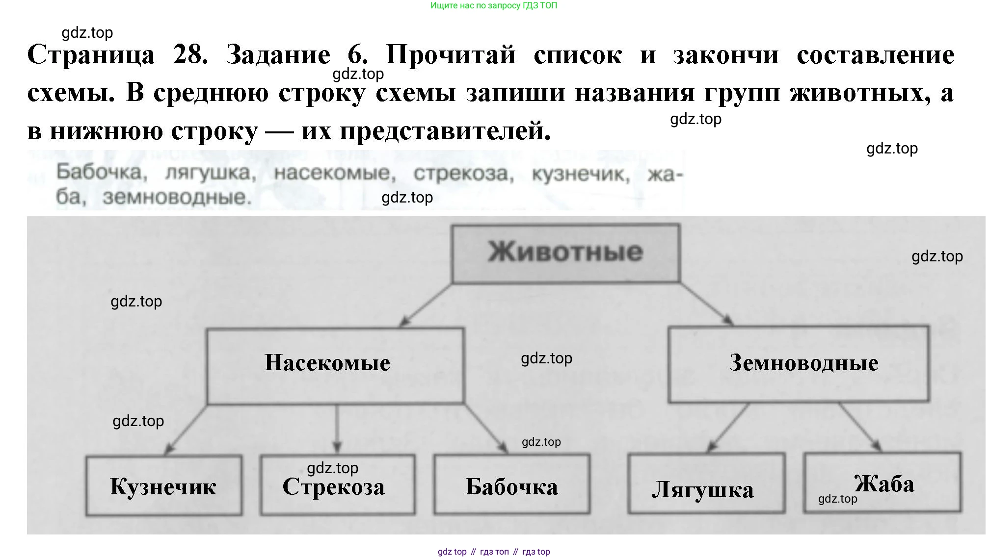 Окружающий мир, 3 класс Проверочные работы, авторы: Плешаков Андрей Анатольевич, Плешаков С А, издательство Просвещение, Москва, 2023, белого цвета, страница 28, номер 6, Решение