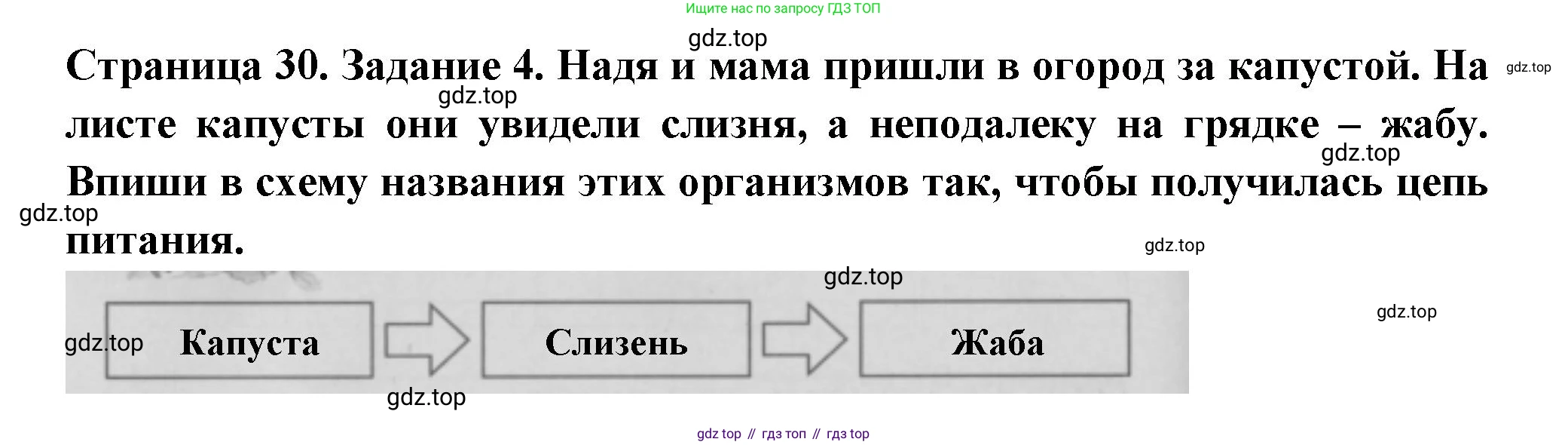 Окружающий мир, 3 класс Проверочные работы, авторы: Плешаков Андрей Анатольевич, Плешаков С А, издательство Просвещение, Москва, 2023, белого цвета, страница 30, номер 4, Решение