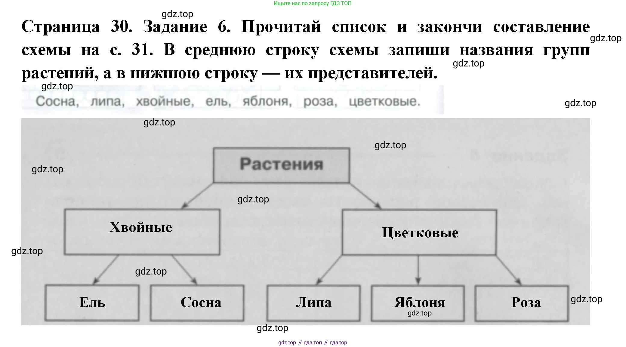 Окружающий мир, 3 класс Проверочные работы, авторы: Плешаков Андрей Анатольевич, Плешаков С А, издательство Просвещение, Москва, 2023, белого цвета, страница 30, номер 6, Решение