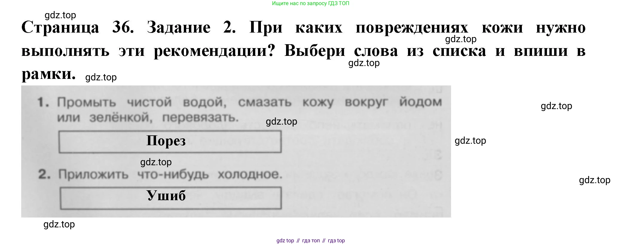 Окружающий мир, 3 класс Проверочные работы, авторы: Плешаков Андрей Анатольевич, Плешаков С А, издательство Просвещение, Москва, 2023, белого цвета, страница 36, номер 2, Решение