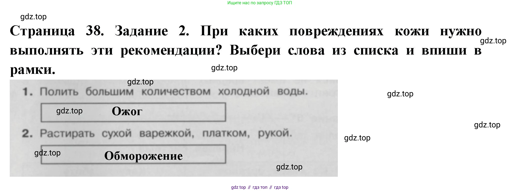 Окружающий мир, 3 класс Проверочные работы, авторы: Плешаков Андрей Анатольевич, Плешаков С А, издательство Просвещение, Москва, 2023, белого цвета, страница 38, номер 2, Решение