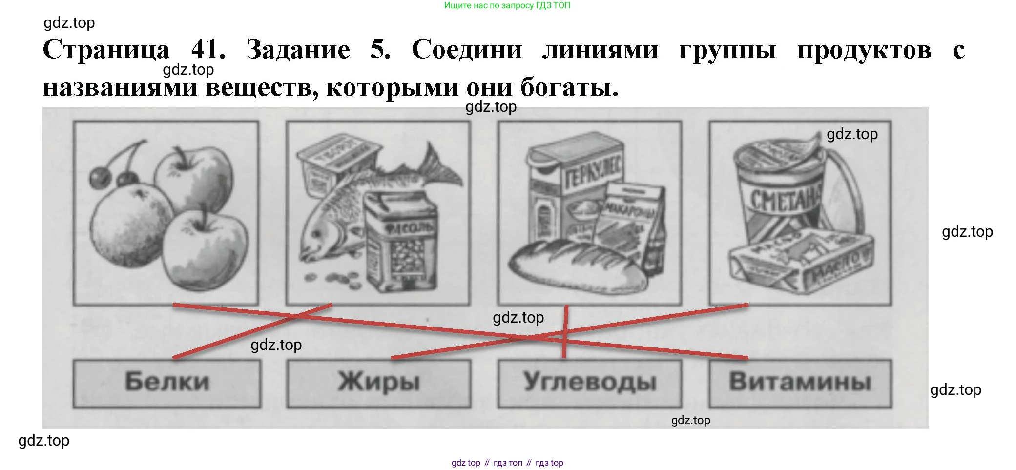 Окружающий мир, 3 класс Проверочные работы, авторы: Плешаков Андрей Анатольевич, Плешаков С А, издательство Просвещение, Москва, 2023, белого цвета, страница 41, номер 5, Решение