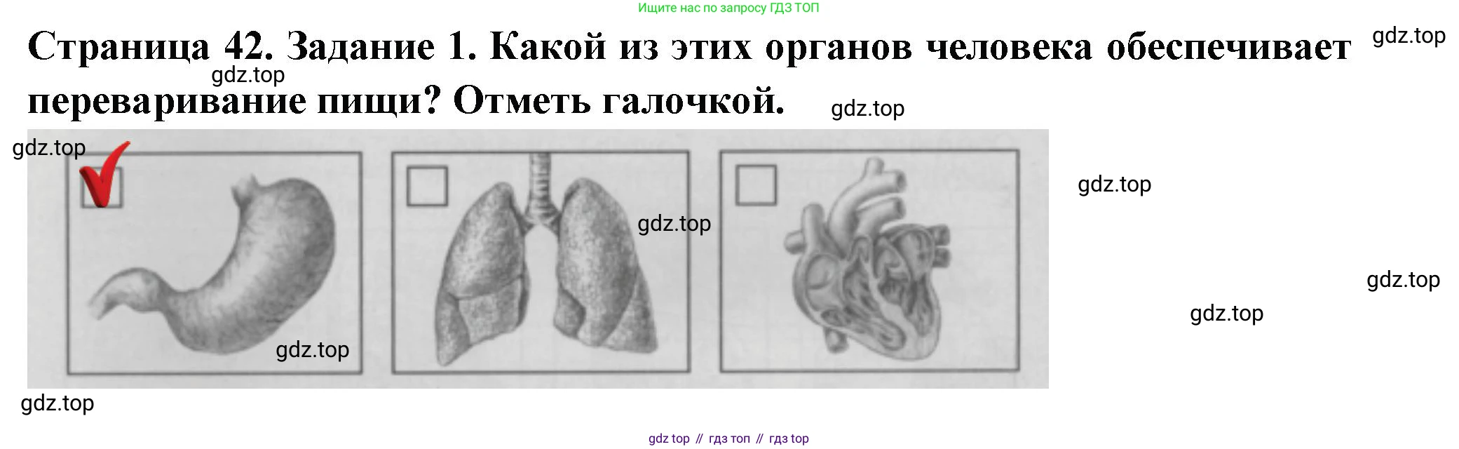 Окружающий мир, 3 класс Проверочные работы, авторы: Плешаков Андрей Анатольевич, Плешаков С А, издательство Просвещение, Москва, 2023, белого цвета, страница 42, номер 1, Решение