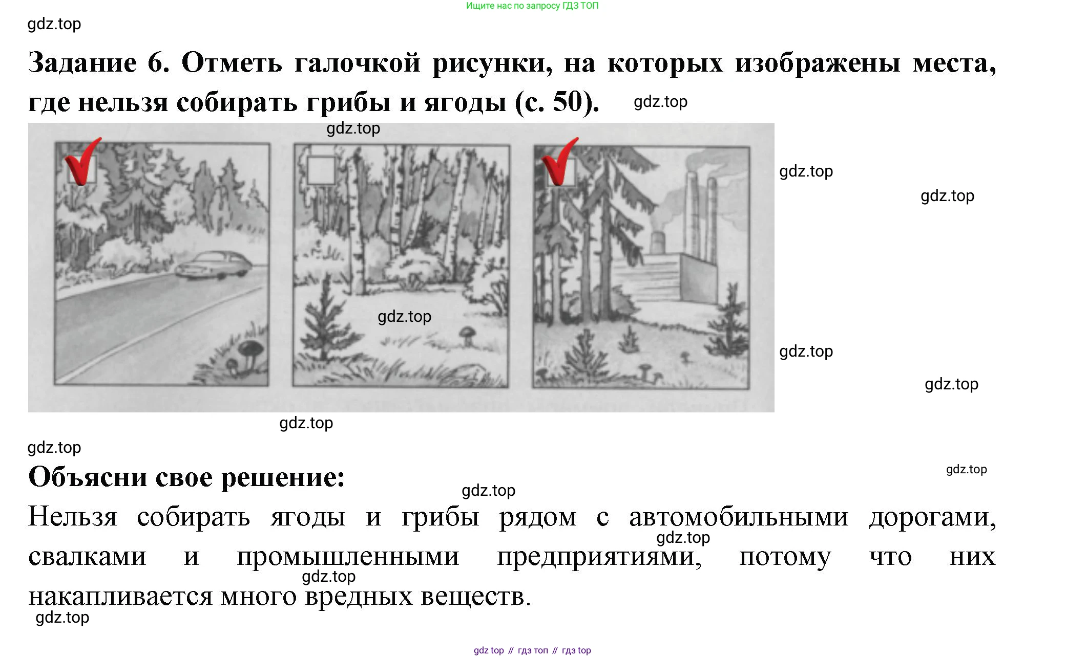 Окружающий мир, 3 класс Проверочные работы, авторы: Плешаков Андрей Анатольевич, Плешаков С А, издательство Просвещение, Москва, 2023, белого цвета, страница 49, номер 6, Решение