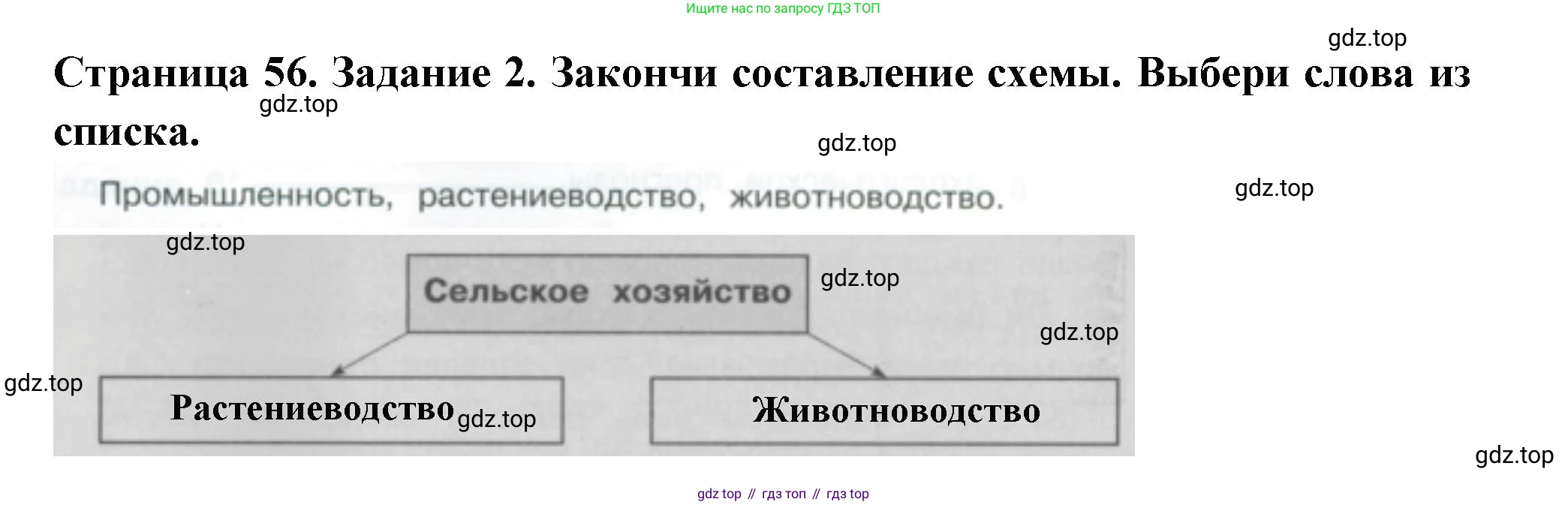 Окружающий мир, 3 класс Проверочные работы, авторы: Плешаков Андрей Анатольевич, Плешаков С А, издательство Просвещение, Москва, 2023, белого цвета, страница 56, номер 2, Решение