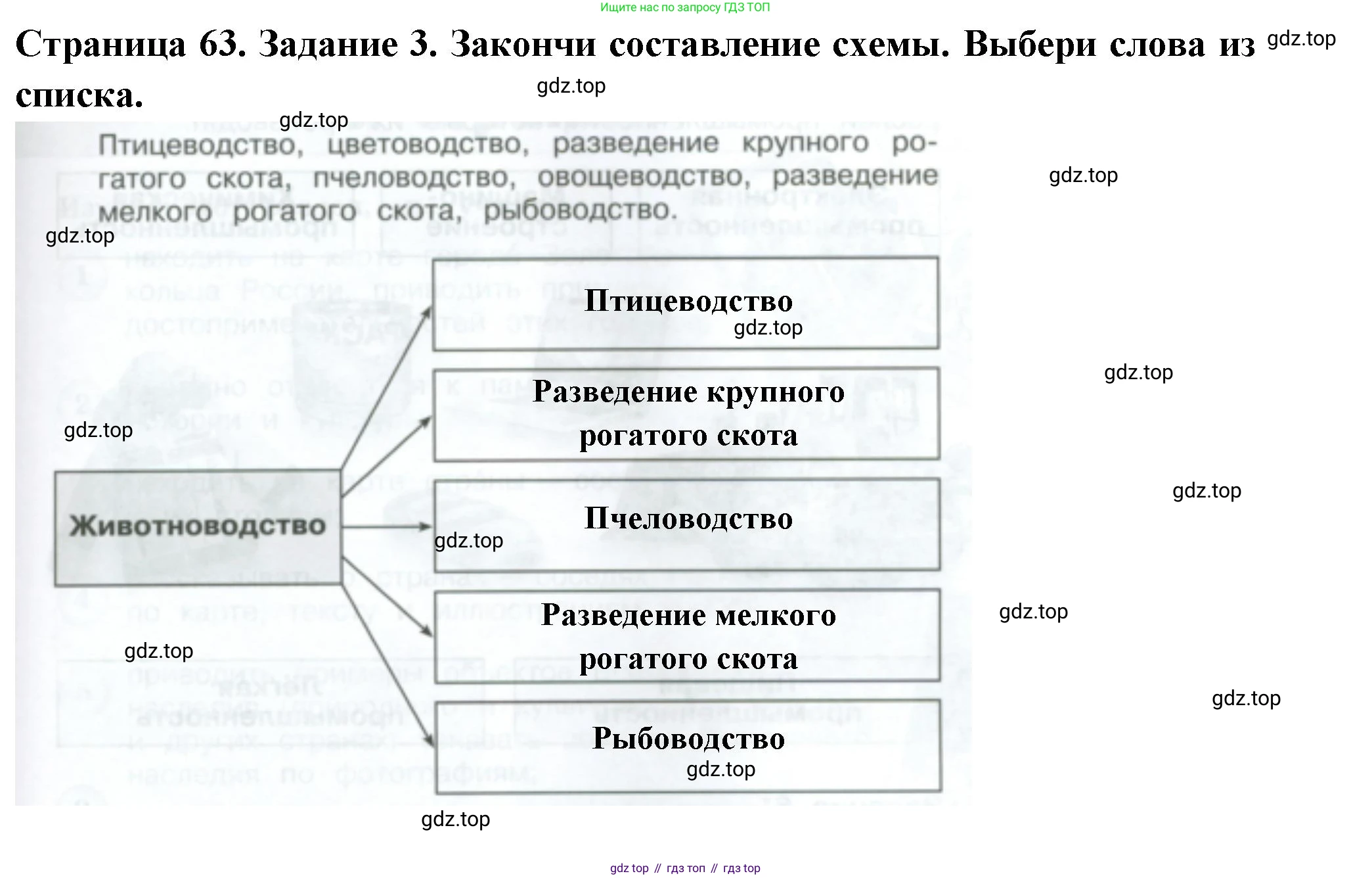 Окружающий мир, 3 класс Проверочные работы, авторы: Плешаков Андрей Анатольевич, Плешаков С А, издательство Просвещение, Москва, 2023, белого цвета, страница 63, номер 3, Решение