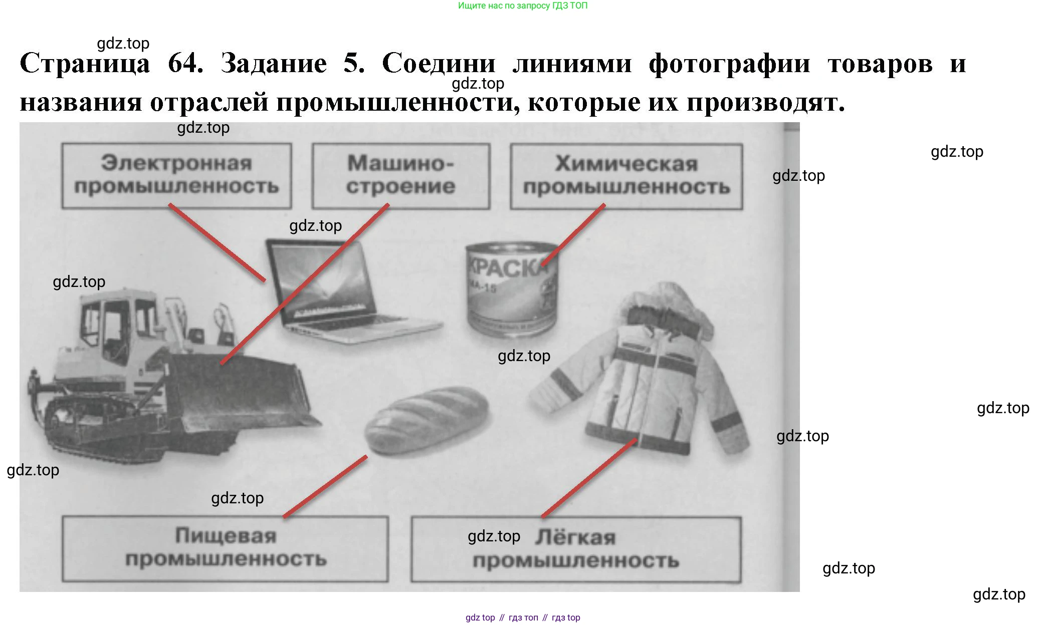Окружающий мир, 3 класс Проверочные работы, авторы: Плешаков Андрей Анатольевич, Плешаков С А, издательство Просвещение, Москва, 2023, белого цвета, страница 64, номер 5, Решение